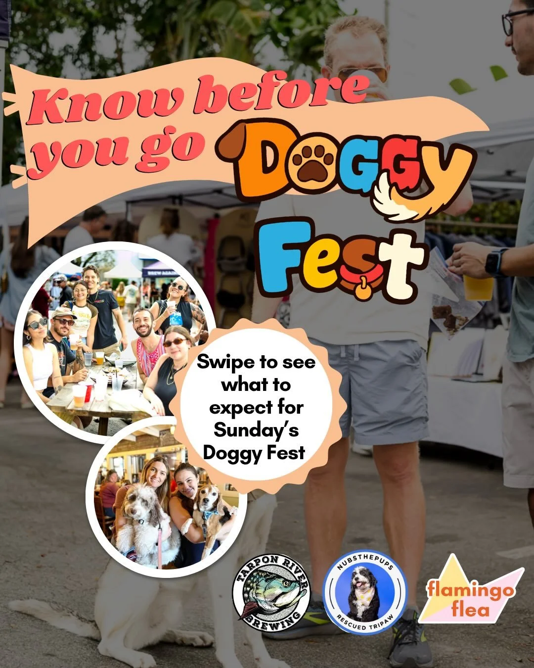 Know before you go! We can&rsquo;t wait to welcome you and your doggo this Sunday for Doggy Fest. 

Swipe to read ⏭️📖

Thank you to all those who make Doggy Fest fun!