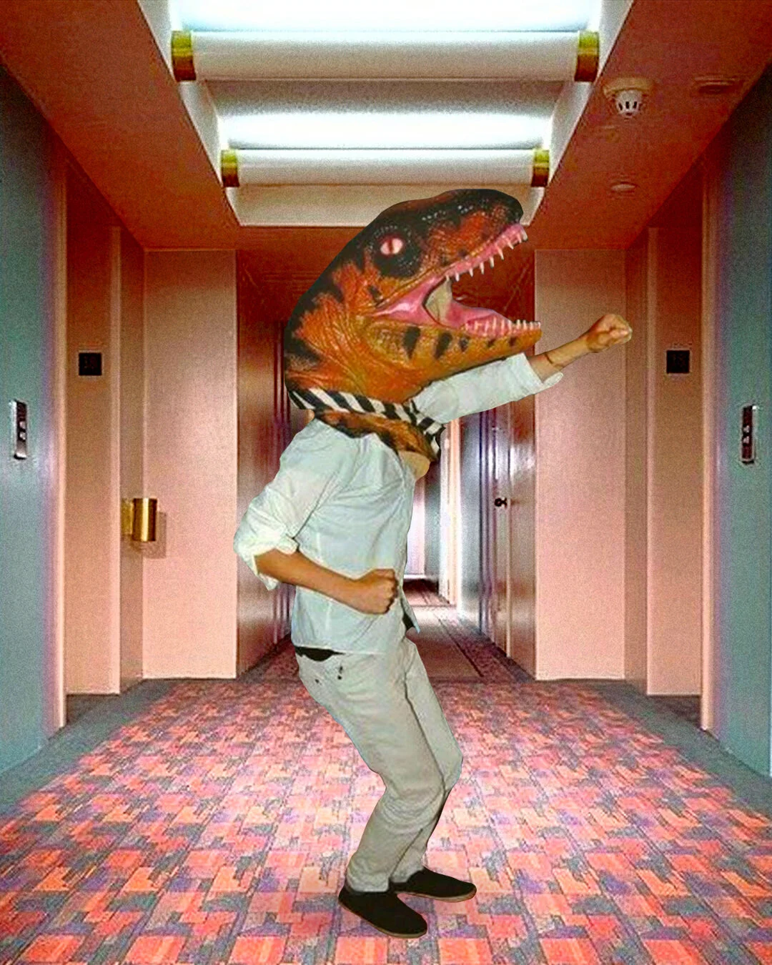 collage6.jpg