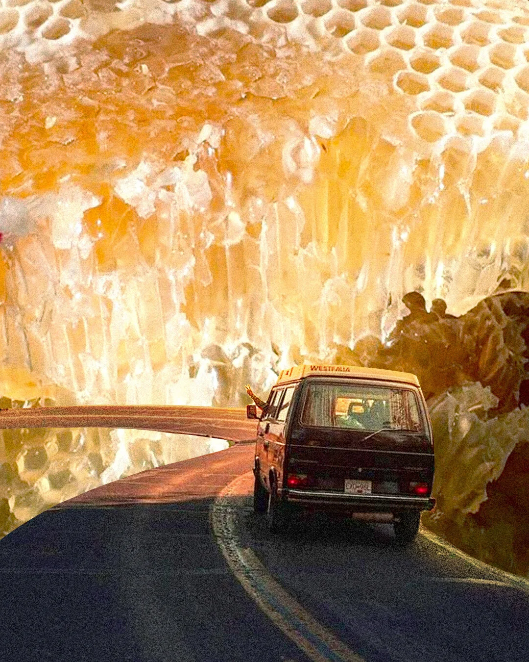 collage11.jpg