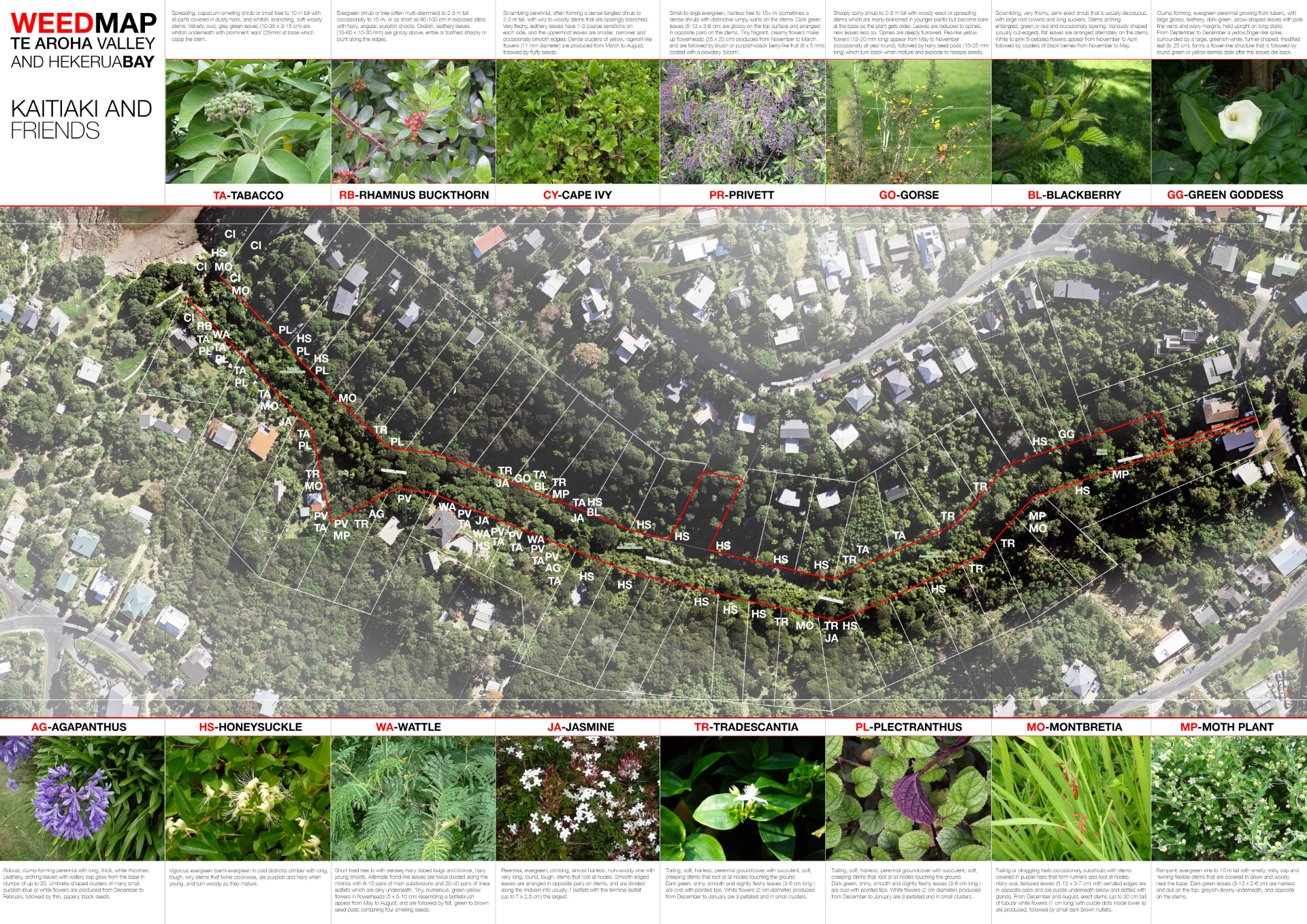 FOTA Weed map.png