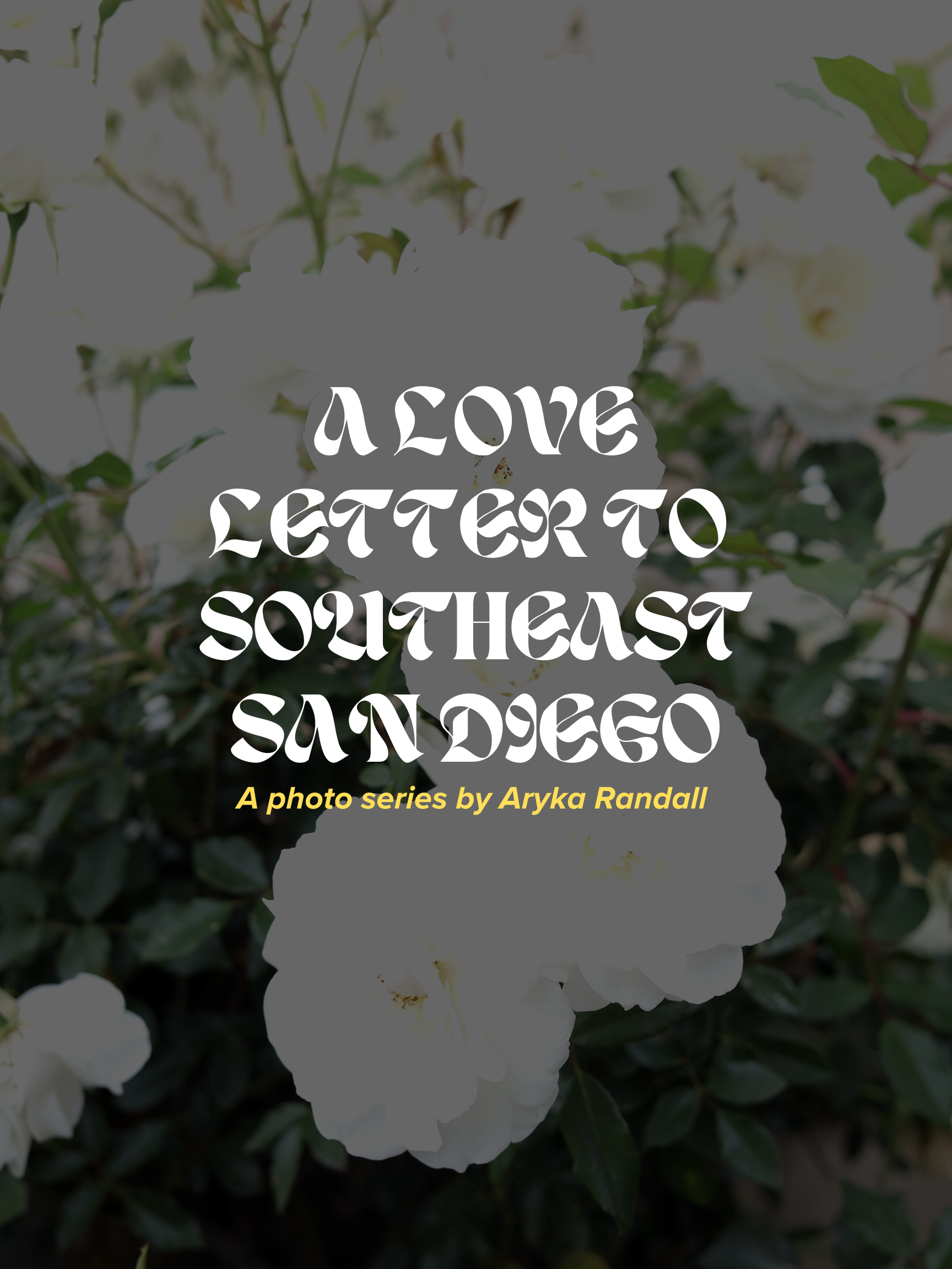 83F01A09-33A7-4F73-A0B6-568027CA1105.PNG