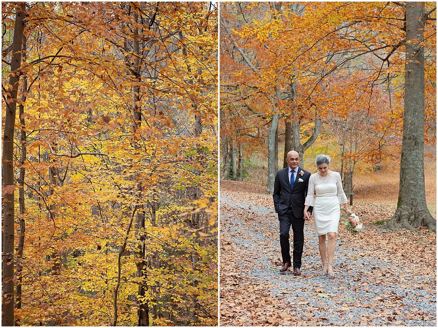 nashville-percy-warner-park-fall-micro-wedding-Darien Photography_0034.jpg