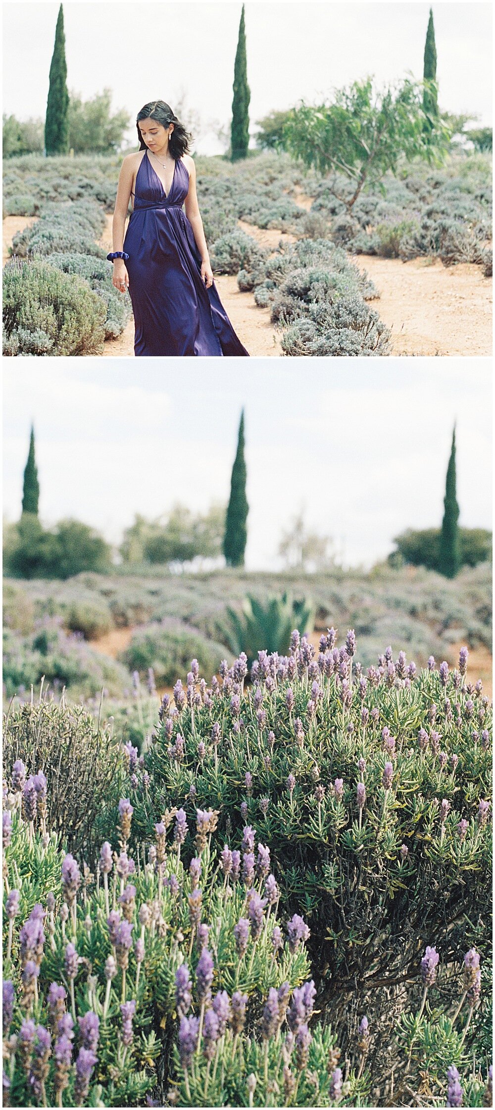 Darien Photography-Nashville-Wedding-photographer-Lavender fields-Mexico-Mineral de Pozos-_0002.jpg