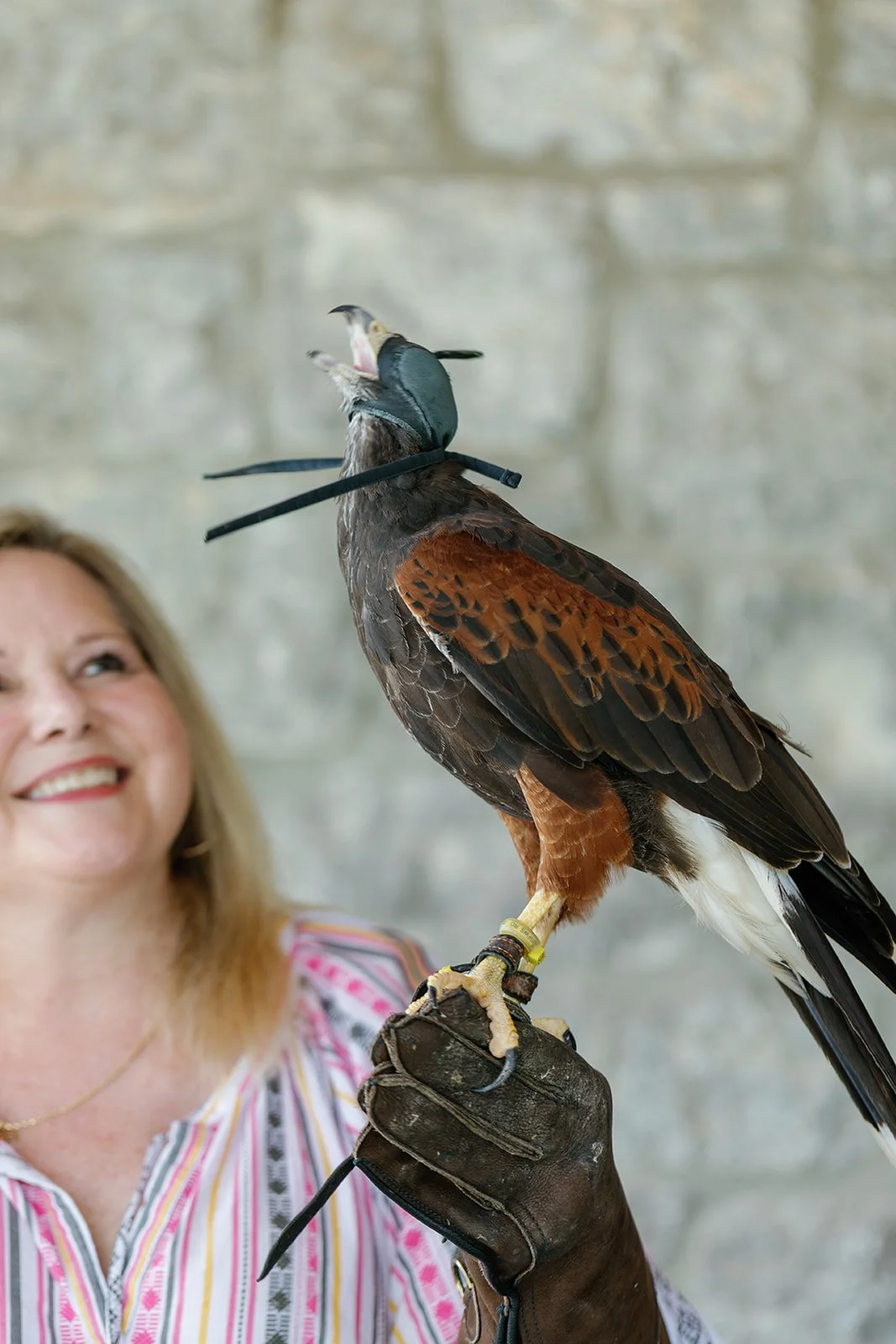 Falconry experience at Southhall Farm &amp; Inn, Franklin, TN