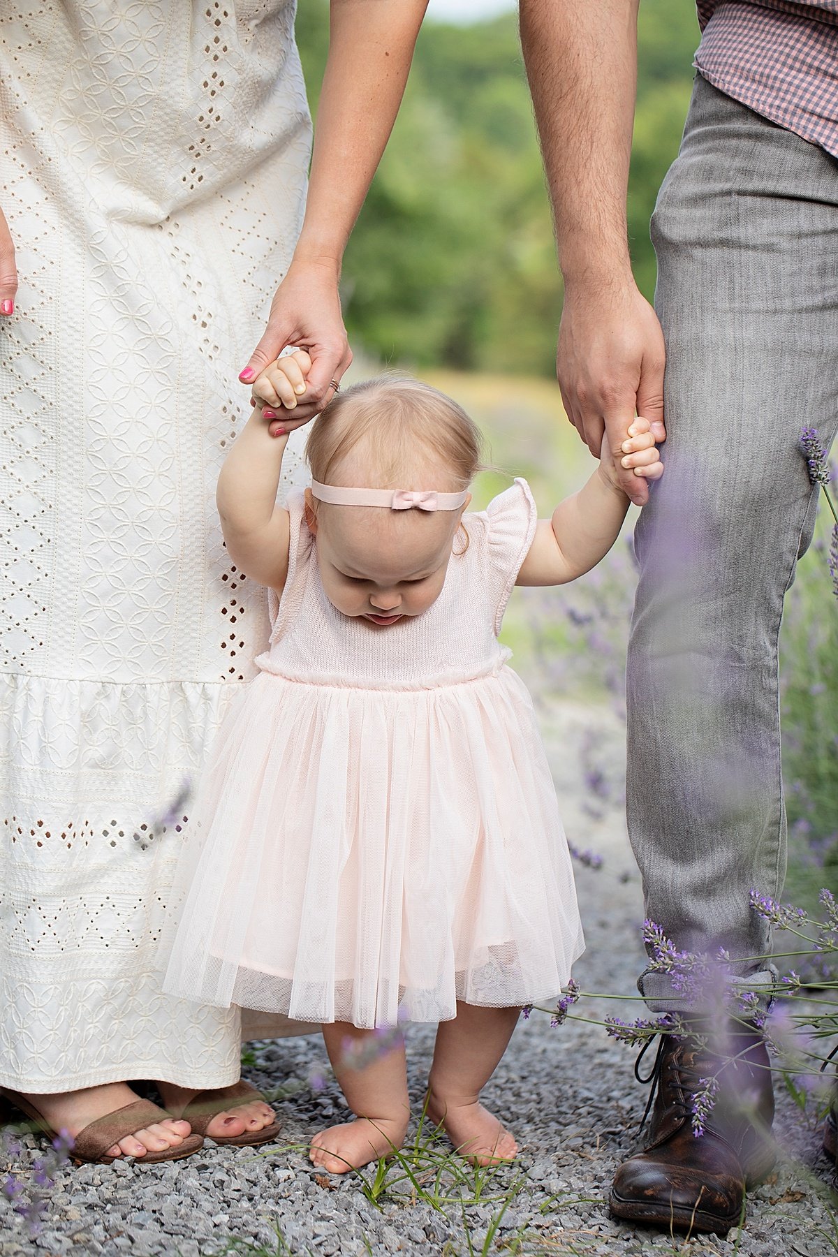 Lavender-field-family-session | Darien Photography  (24).jpg