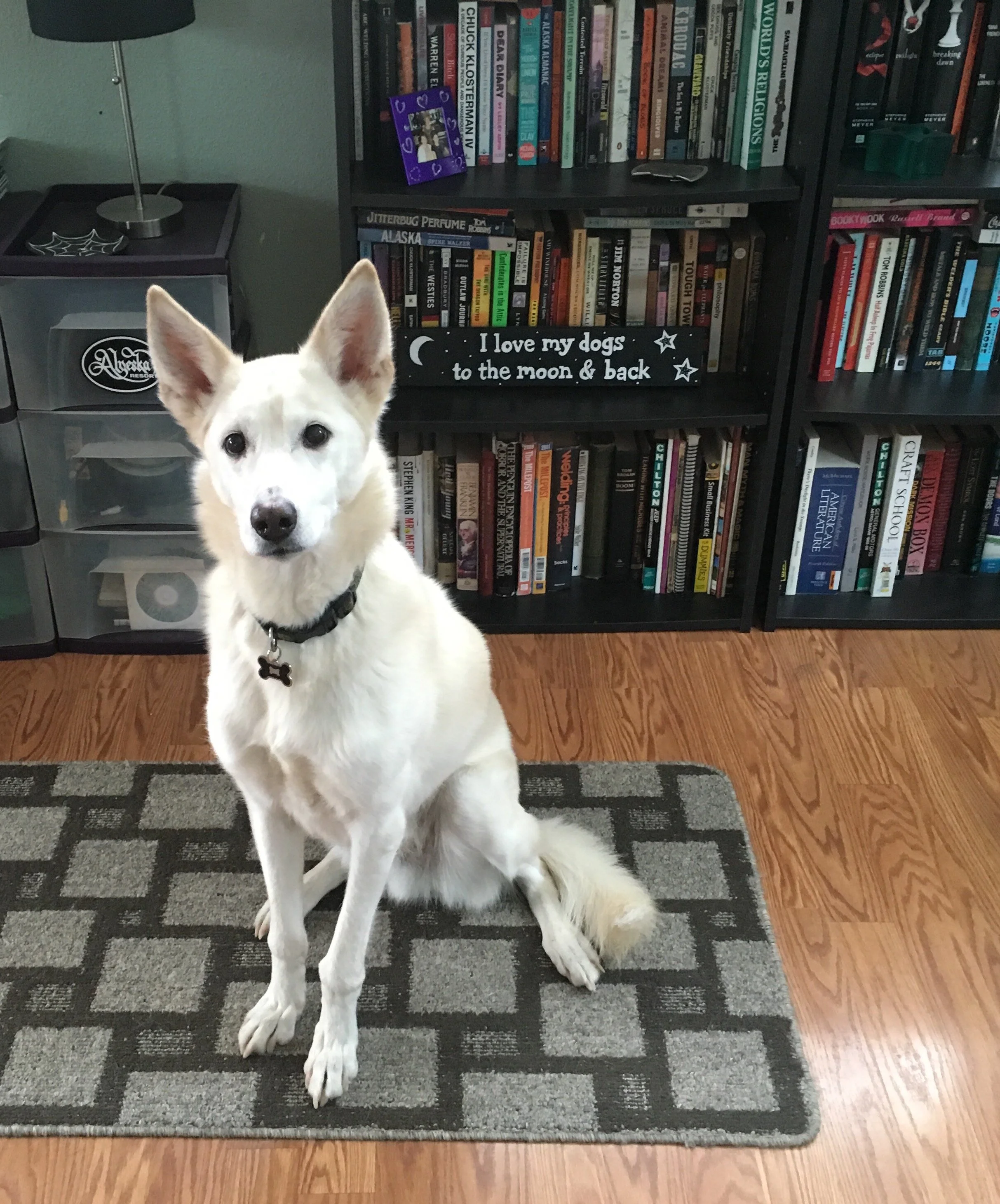 August, forever in our hearts. 5/8/04-4/15/19