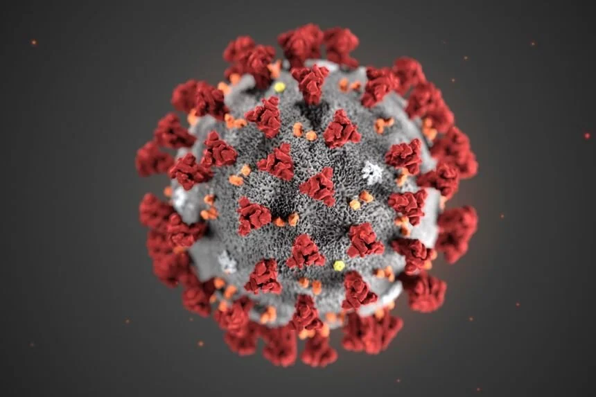 Novel Coronavirus