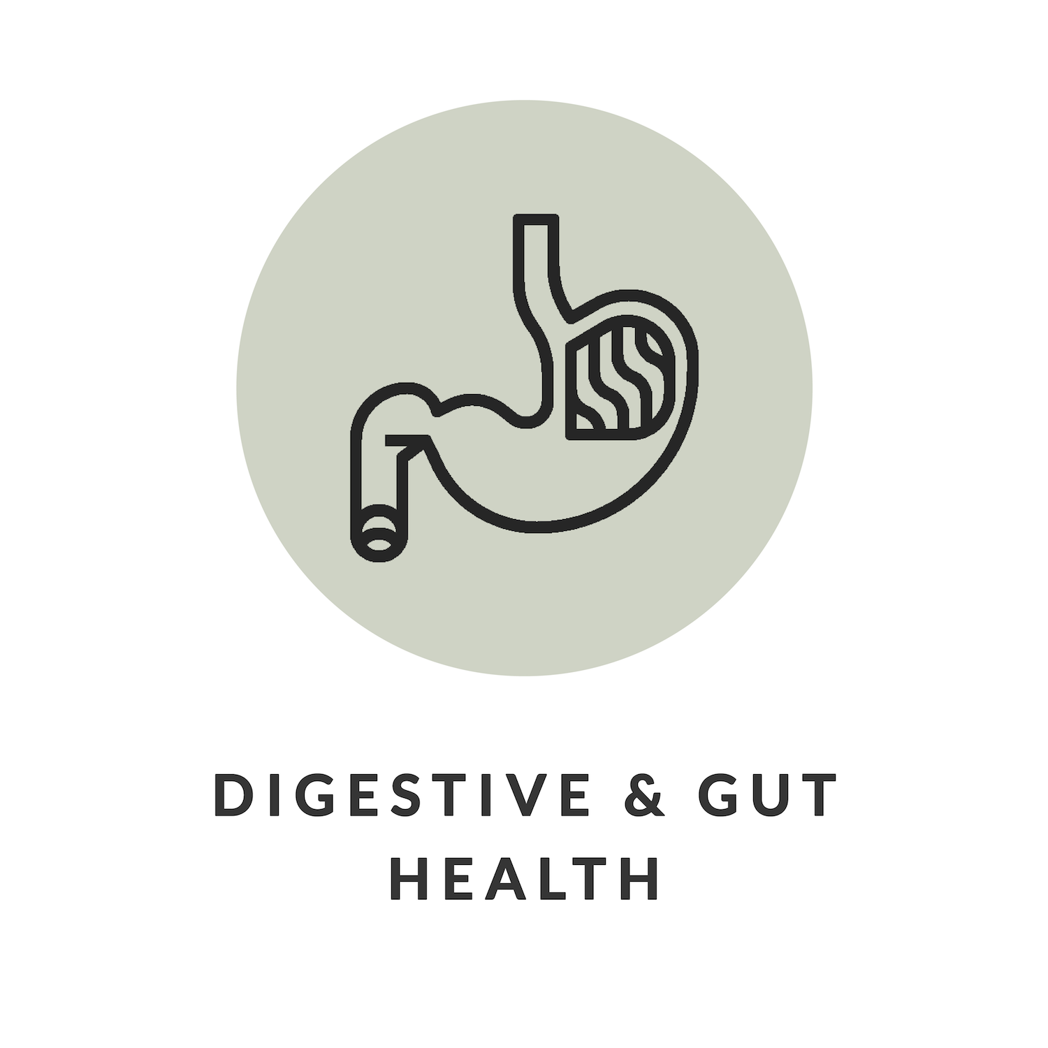 17-DIGESTIVE & GUT HEALTH-well-dietitian-nutritionist-gisborne-dietician-wellness-health-food-clinic-nutrition-kate-rhodes-new-zealand-weight-loss-gut-health-sport-expert-advice .png
