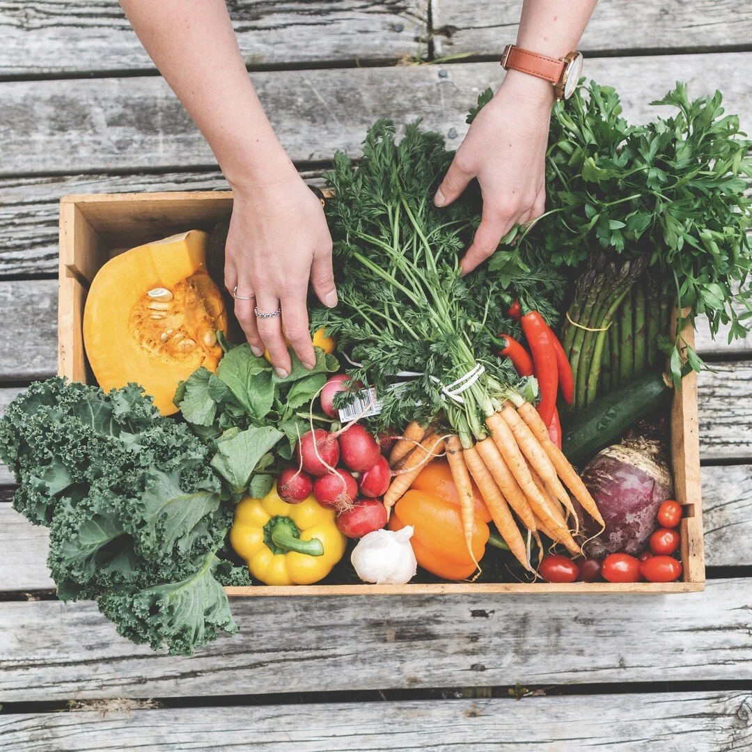 We have trillions of bacteria living inside our gut, some good, some bad 🦠 We all naturally have some bad bacteria, but a healthy gut is one that has more of the good guys than the bad guys. How can we increase our good gut bacteria and keep our gut