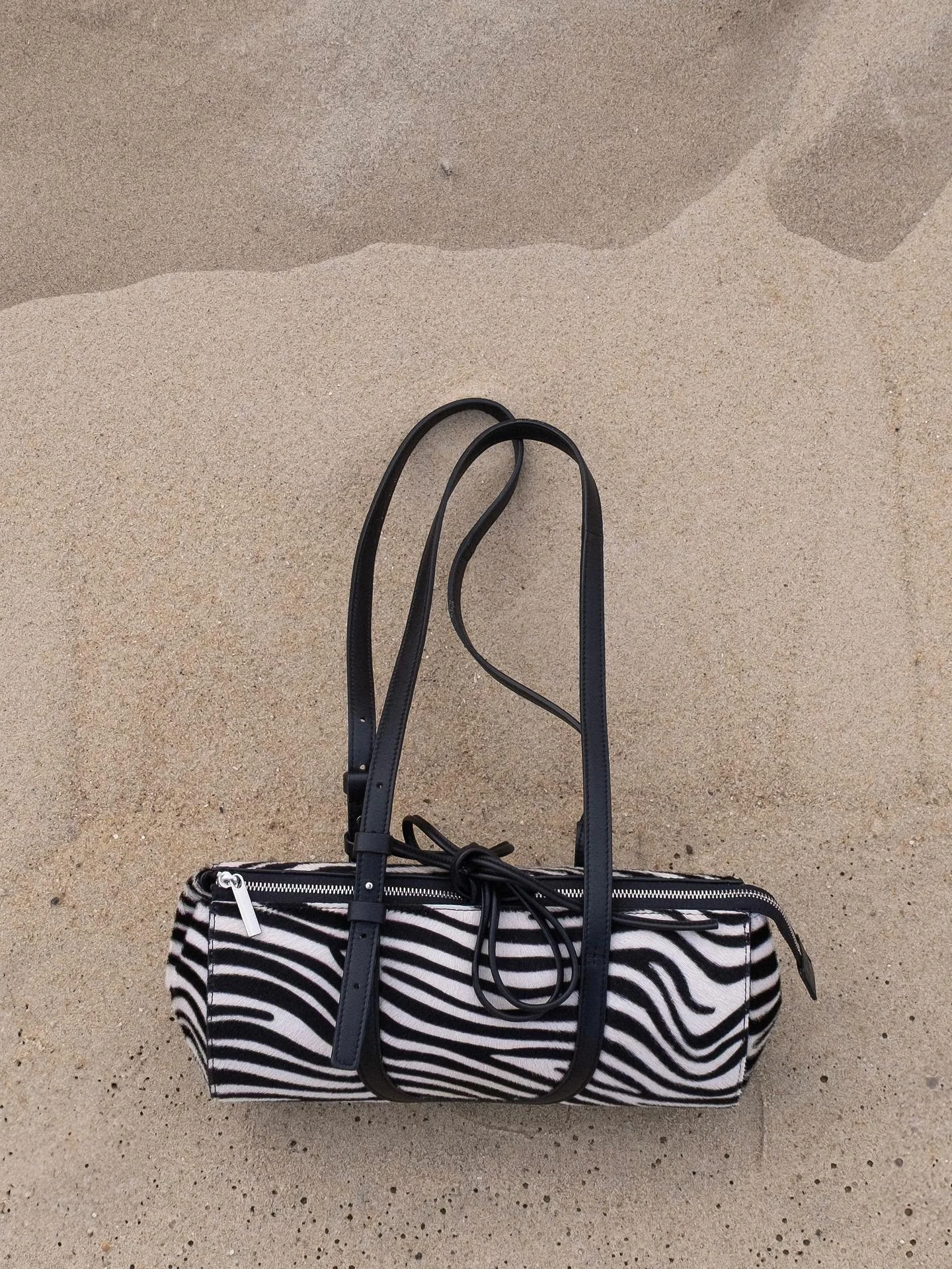 CORDIZ - The zebra capsule