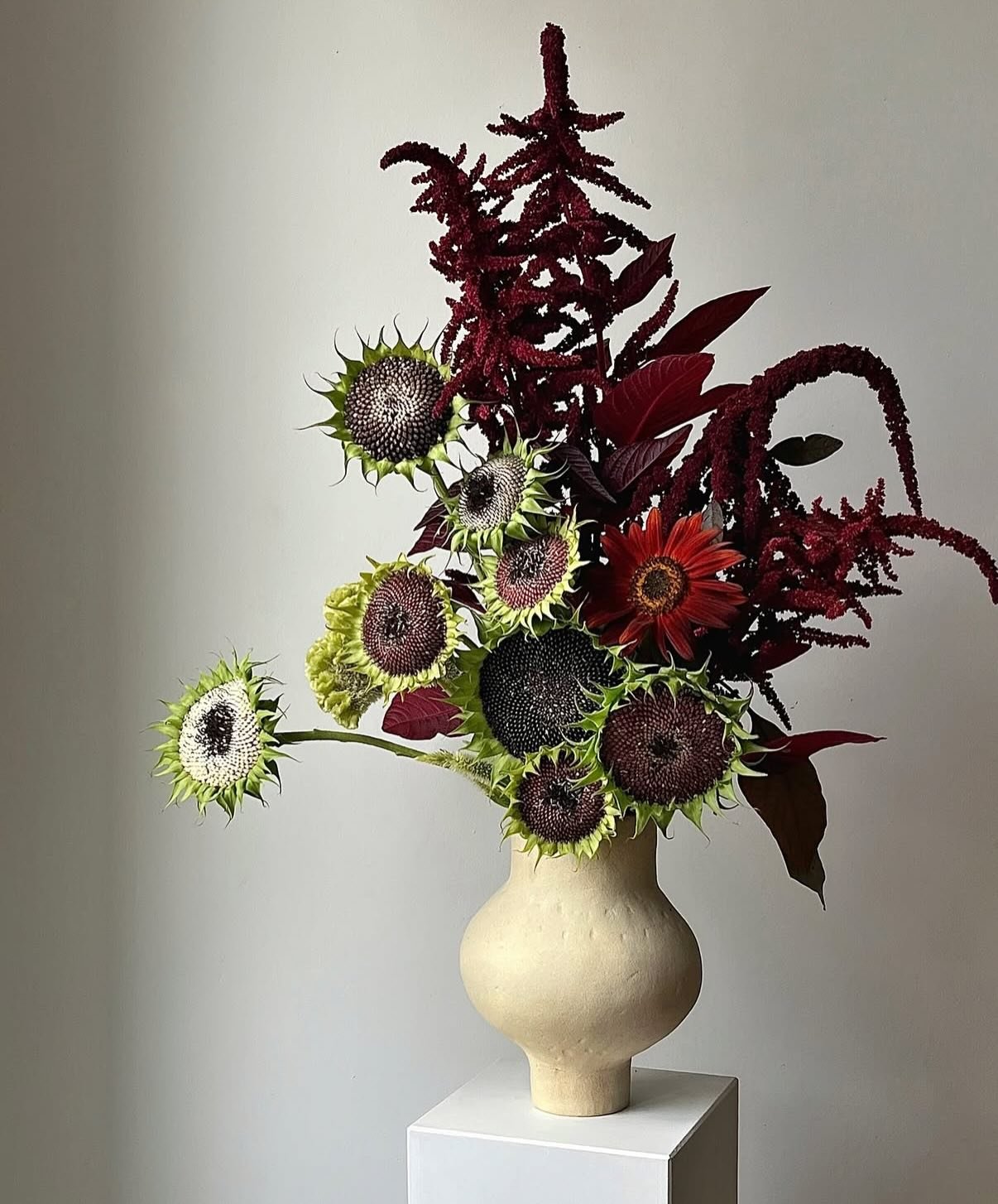 Beaut&eacute;s @martin__dumont