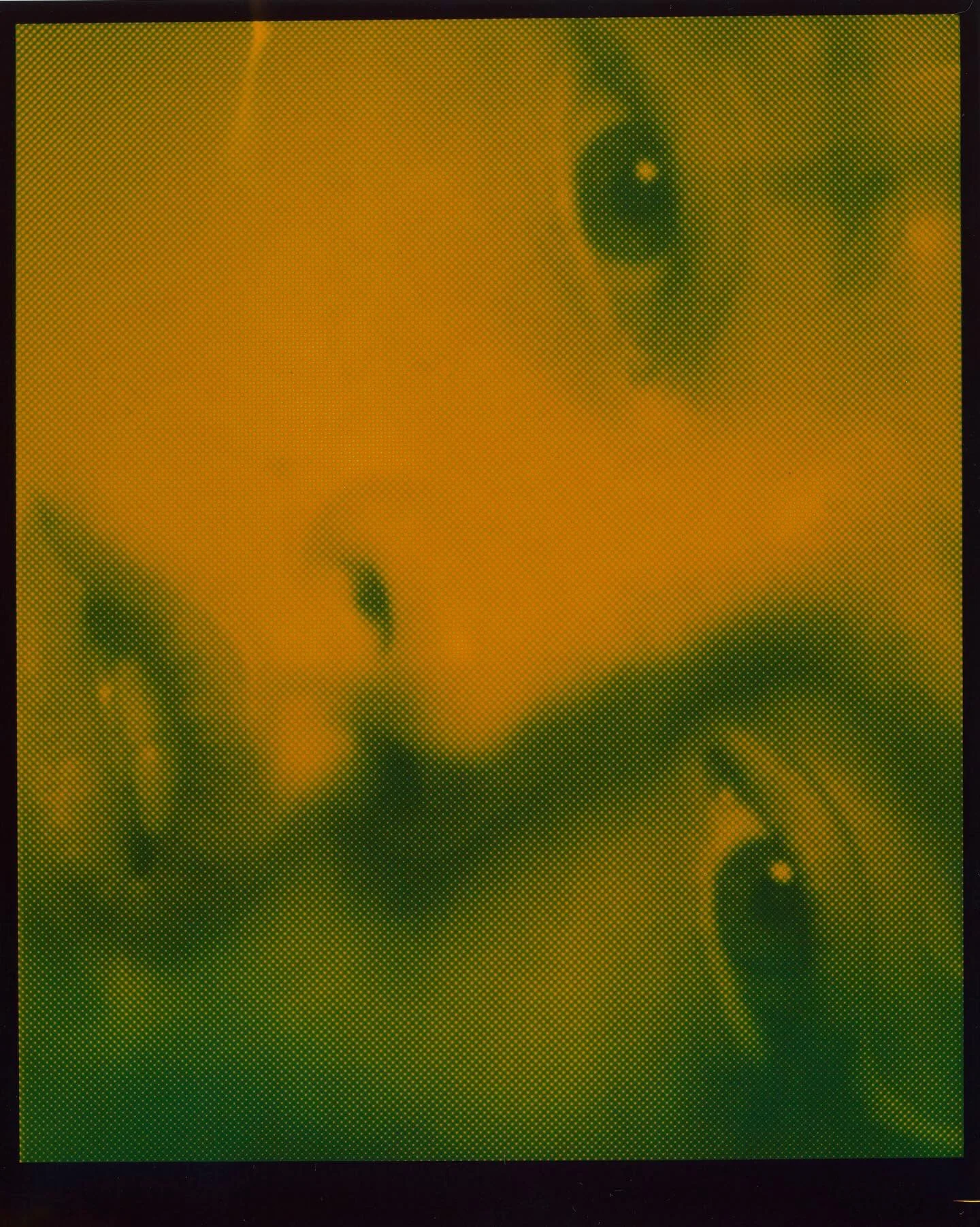 Exposition du photographe @_hugomapelli &agrave; @saintlaurentbabylone jusqu&rsquo;au 31 mars