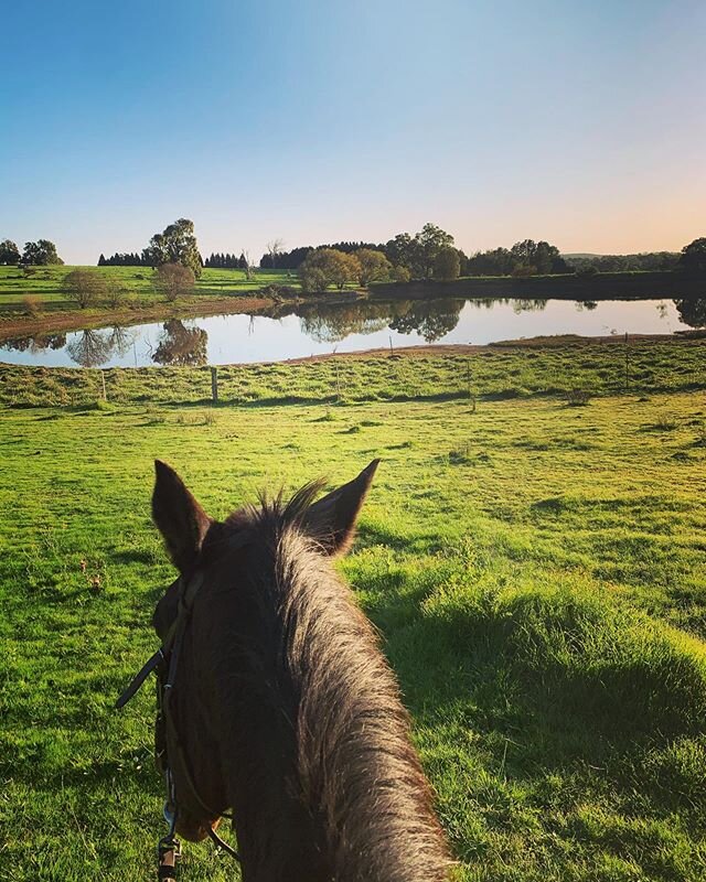 Morning rides with the ponies. Can&rsquo;t imagine a better way to start to day.