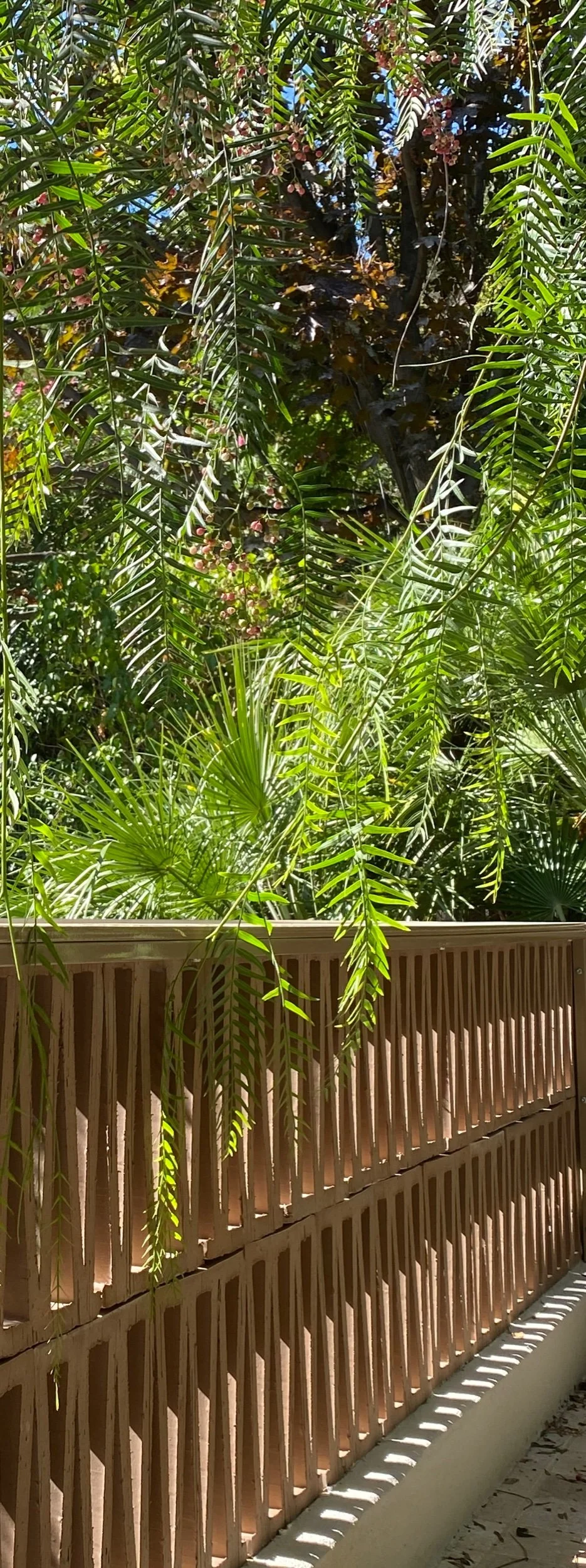 REHABILITATION D'UNE MAISON INDIVIDUELLE - MARSEILLE