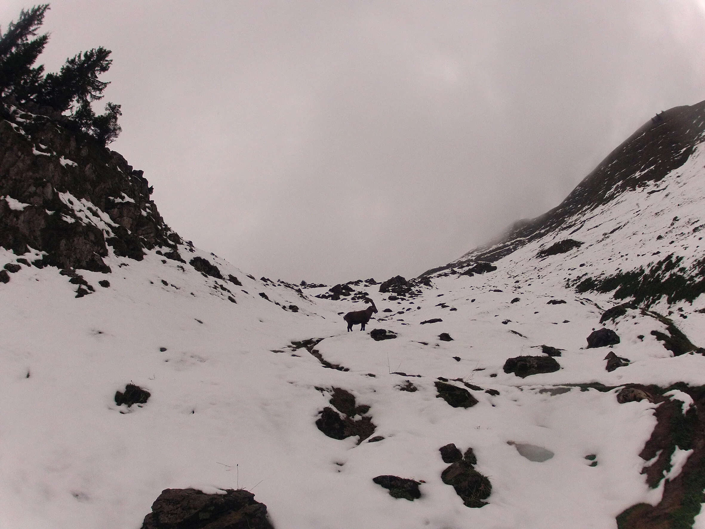 walking progress.JPG