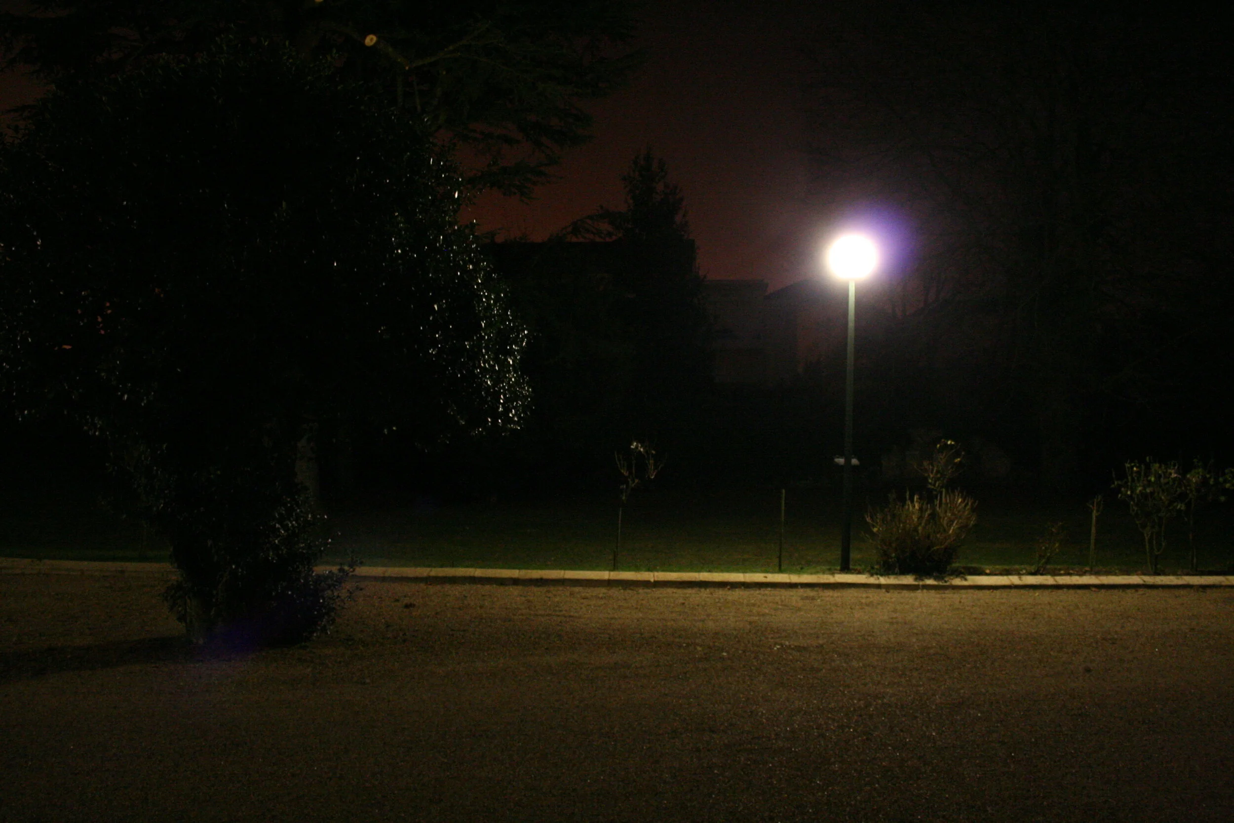 201101_MIC_438.JPG