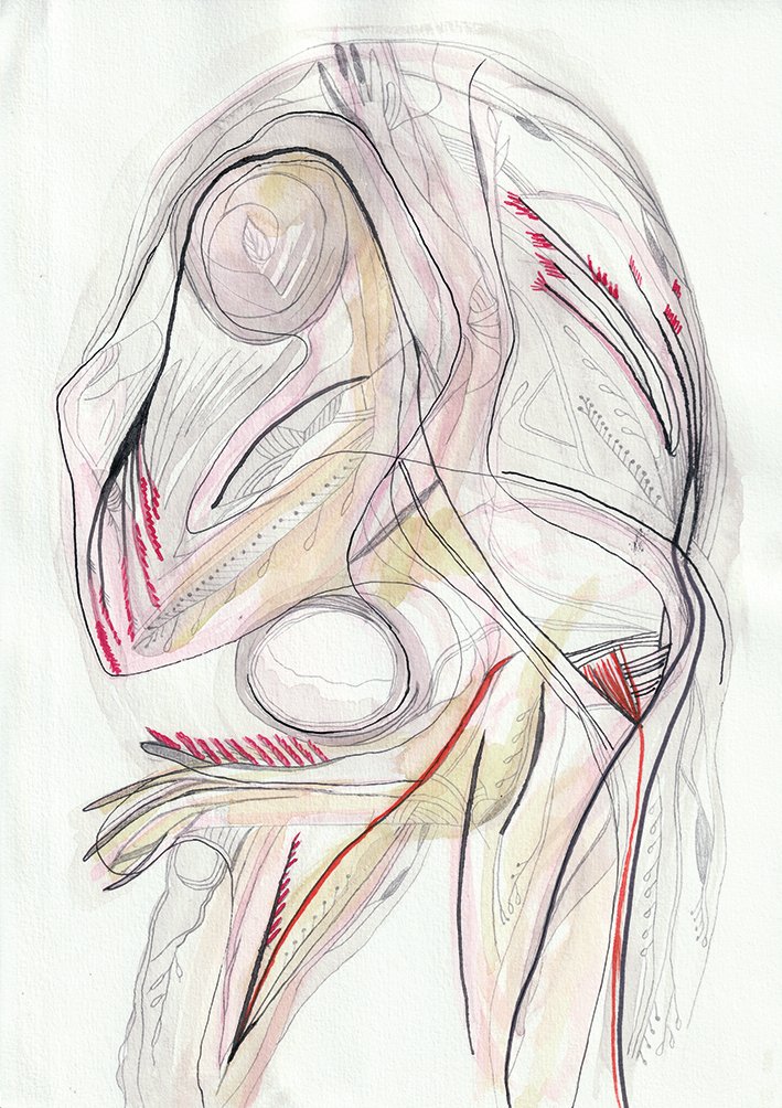 Caryatides, aquarelle et encres