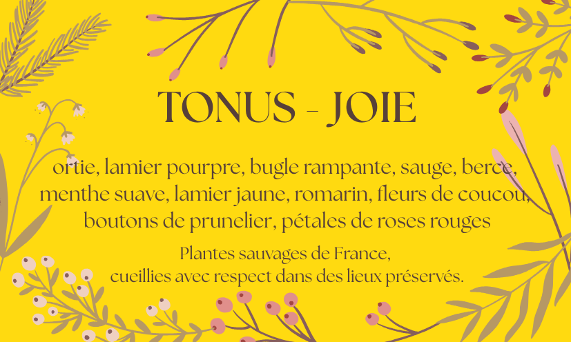 Tisane "Tonus - Joie"