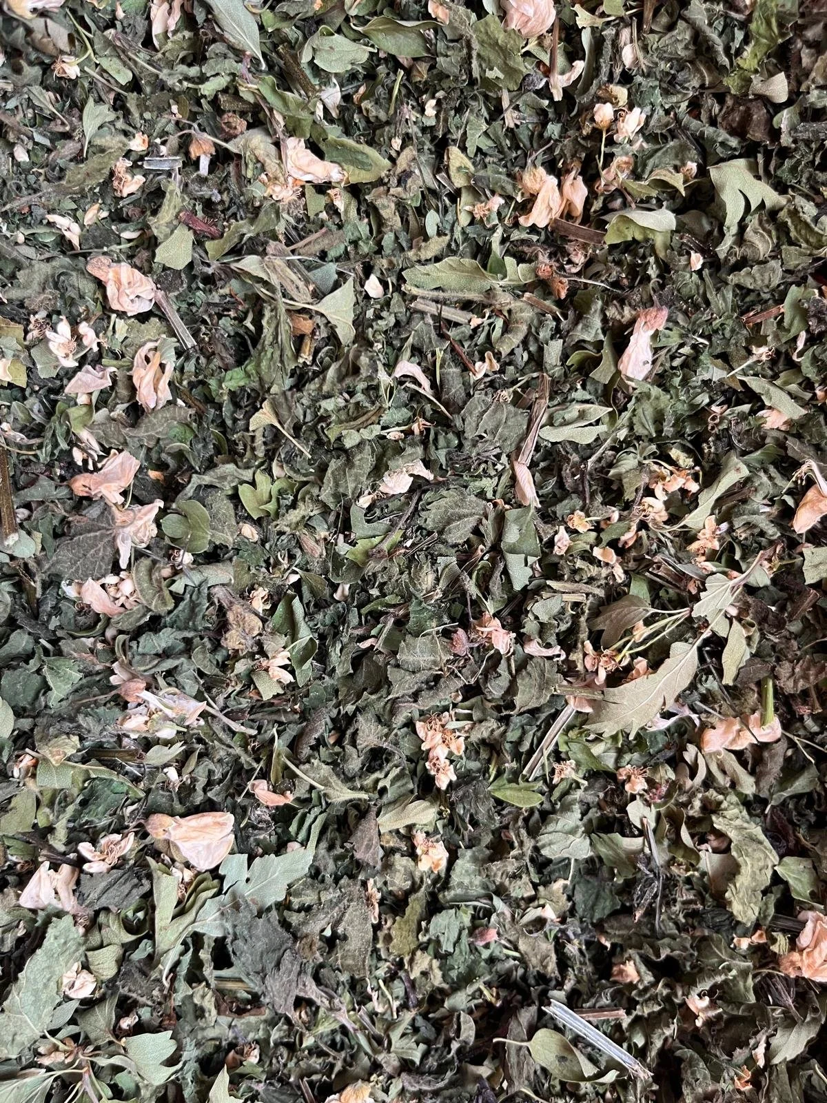 Sourire au coeur.jpg