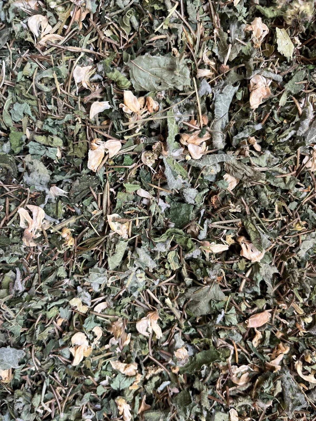 Digestion - Abdomen paisible.jpg