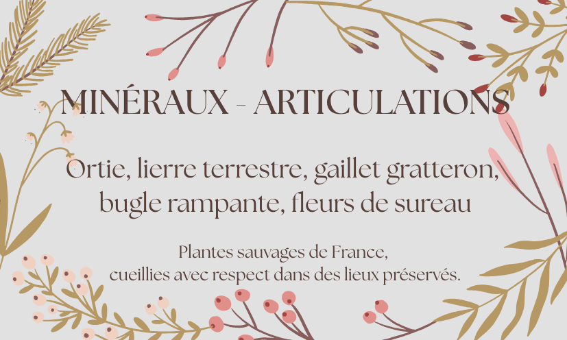 Tisane "Minéraux - articulations"