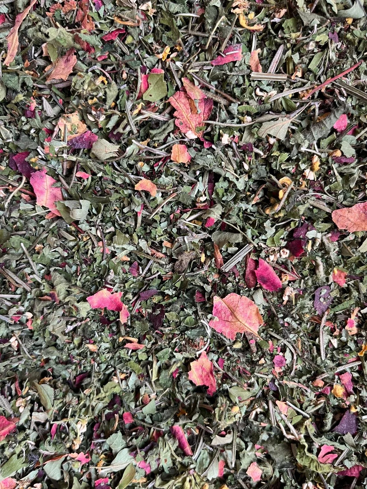 Circulation - Légèreté.jpg