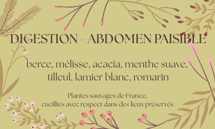 Tisane "Digestion - abdomen paisible"