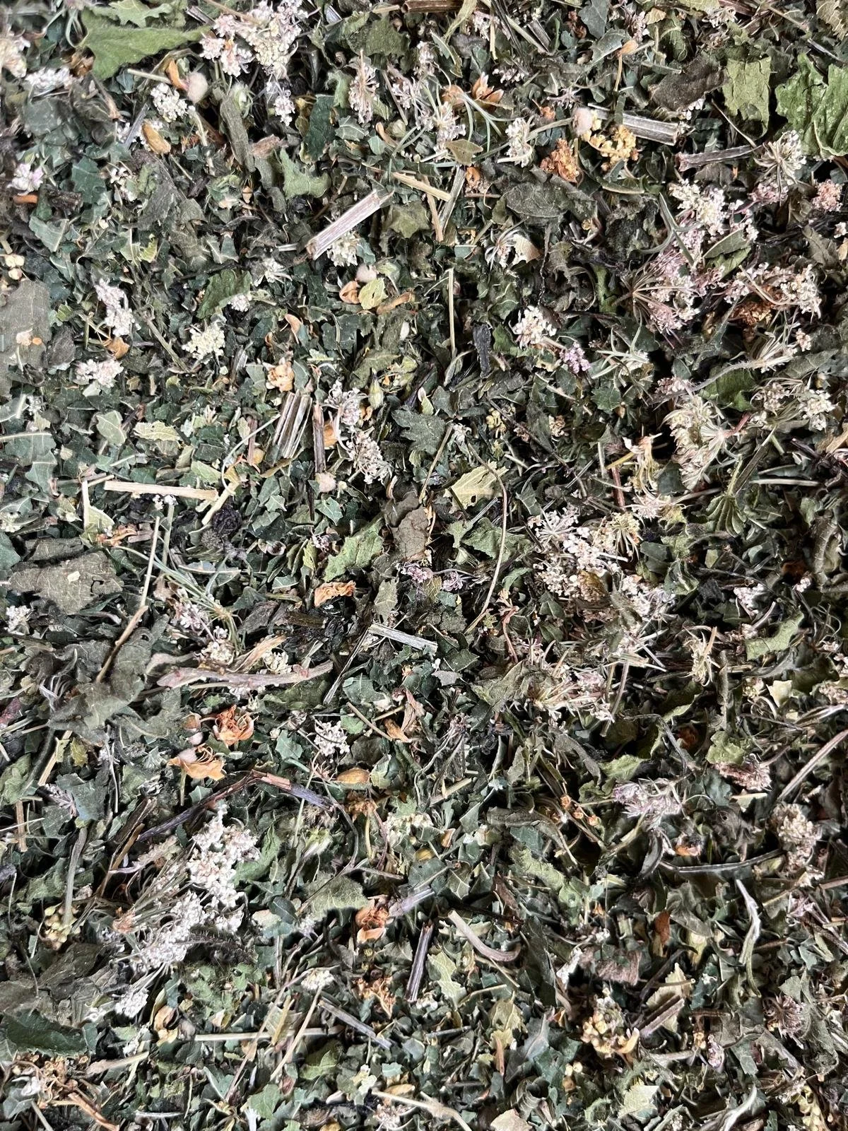 Purification - Détox minceur.jpg