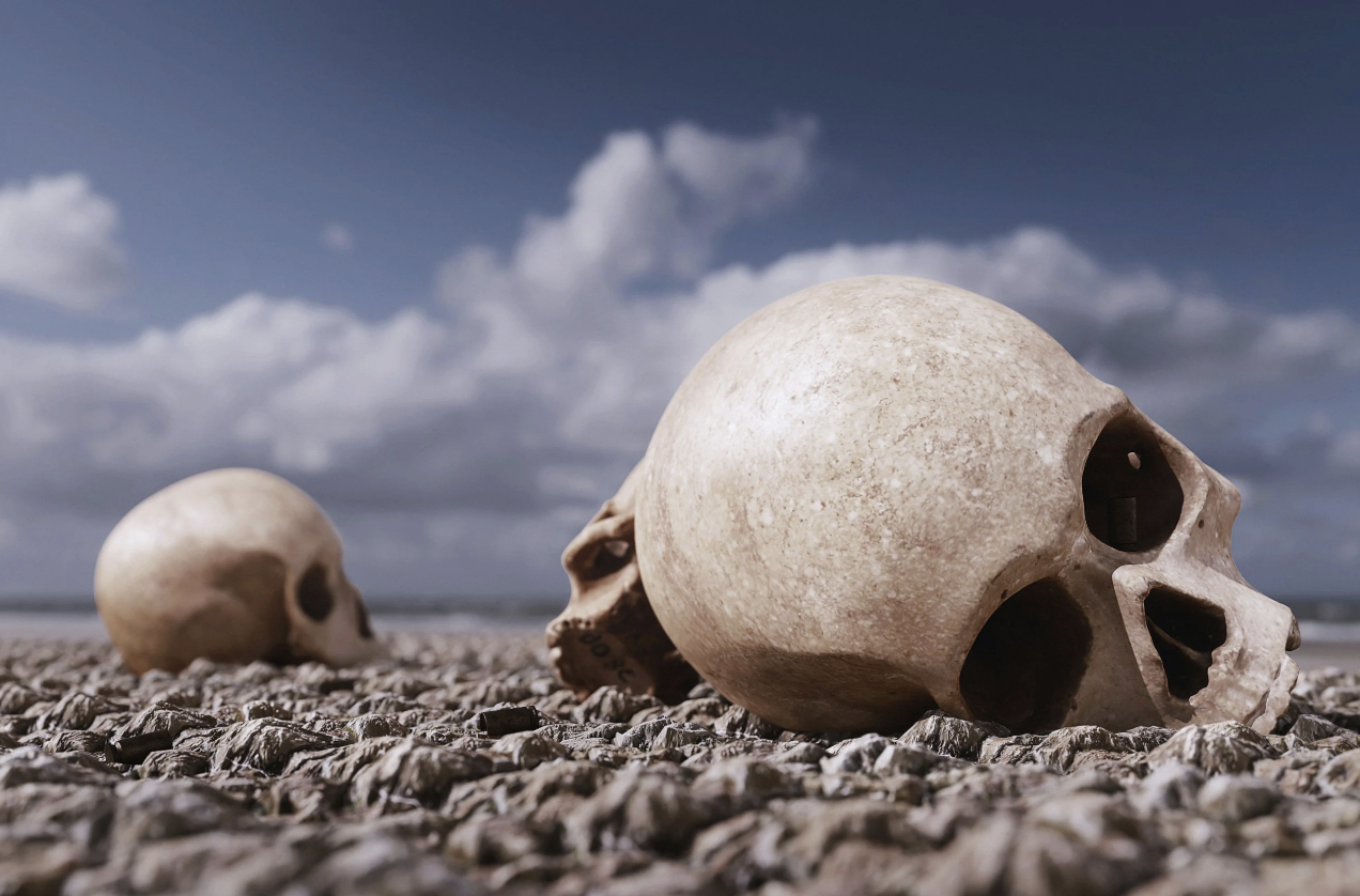 SHOULD HUMANS GO EXTINCT?