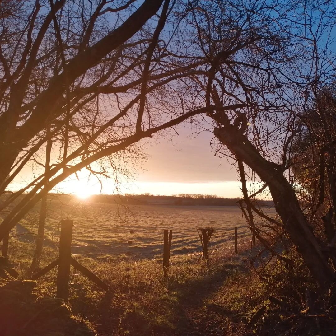 Morning all.
It may be freezing, but it is beautiful. And it kickstarts the brain for a bit of solid writing.

Plus my husky collie cross thinks it's Christmas all over again.

Hope you keep warm...

#beauty
#inspiration
#writinglife 
#frost
#sunrise