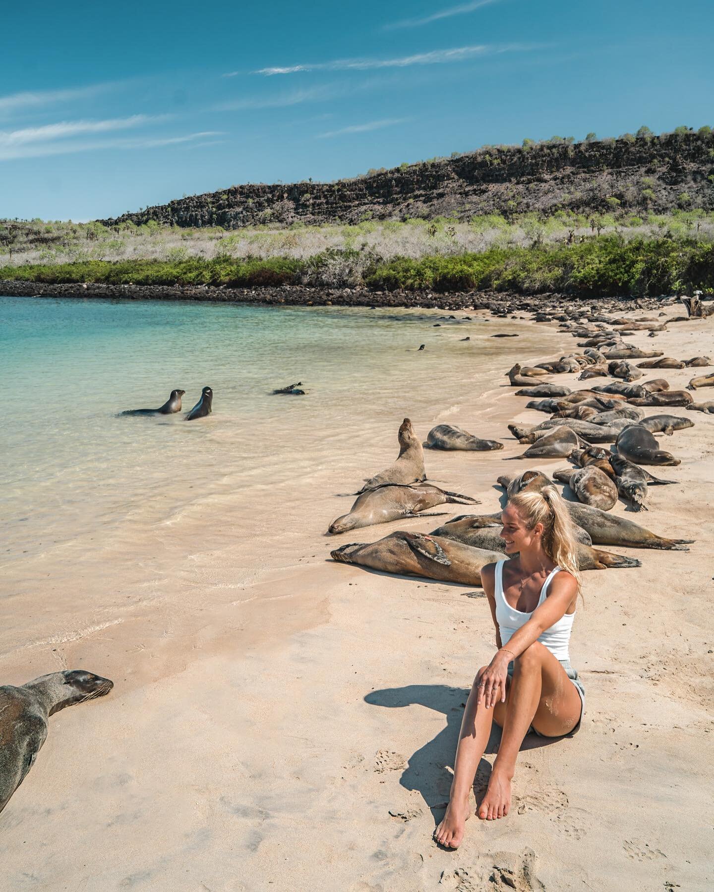 Last month, I went solo on a cruise in Gal&aacute;pagos. I was worried I would be the only one surrounded with high class couples. When I arrived and met the group I was so happy! We were 3 solo travellers, and some of the couples were backpackers. W