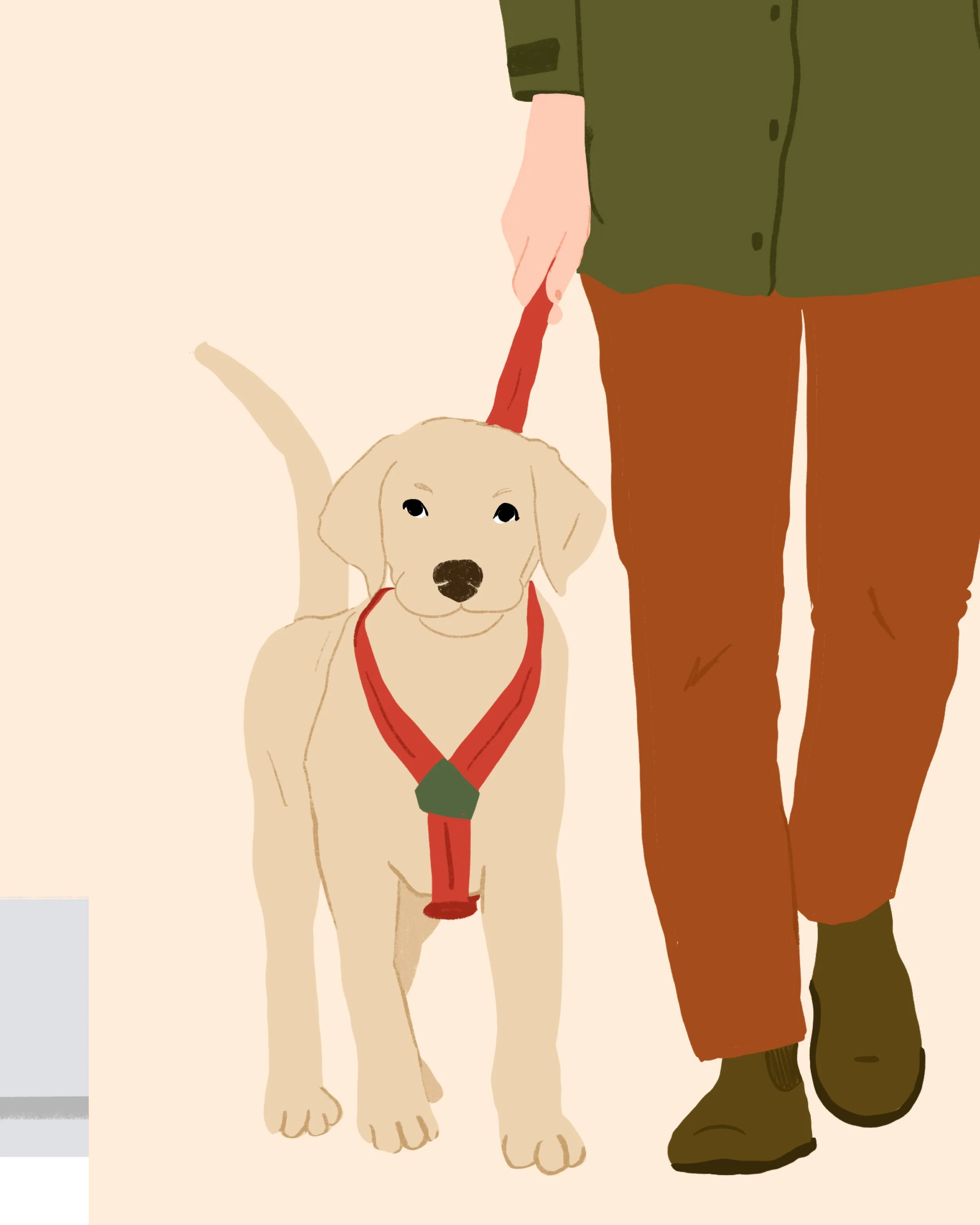 Un chien Labrador beige porte un collier rouge avec un médaillon, debout à côté d'une personne habillée en vêtement de camouflage militaire.