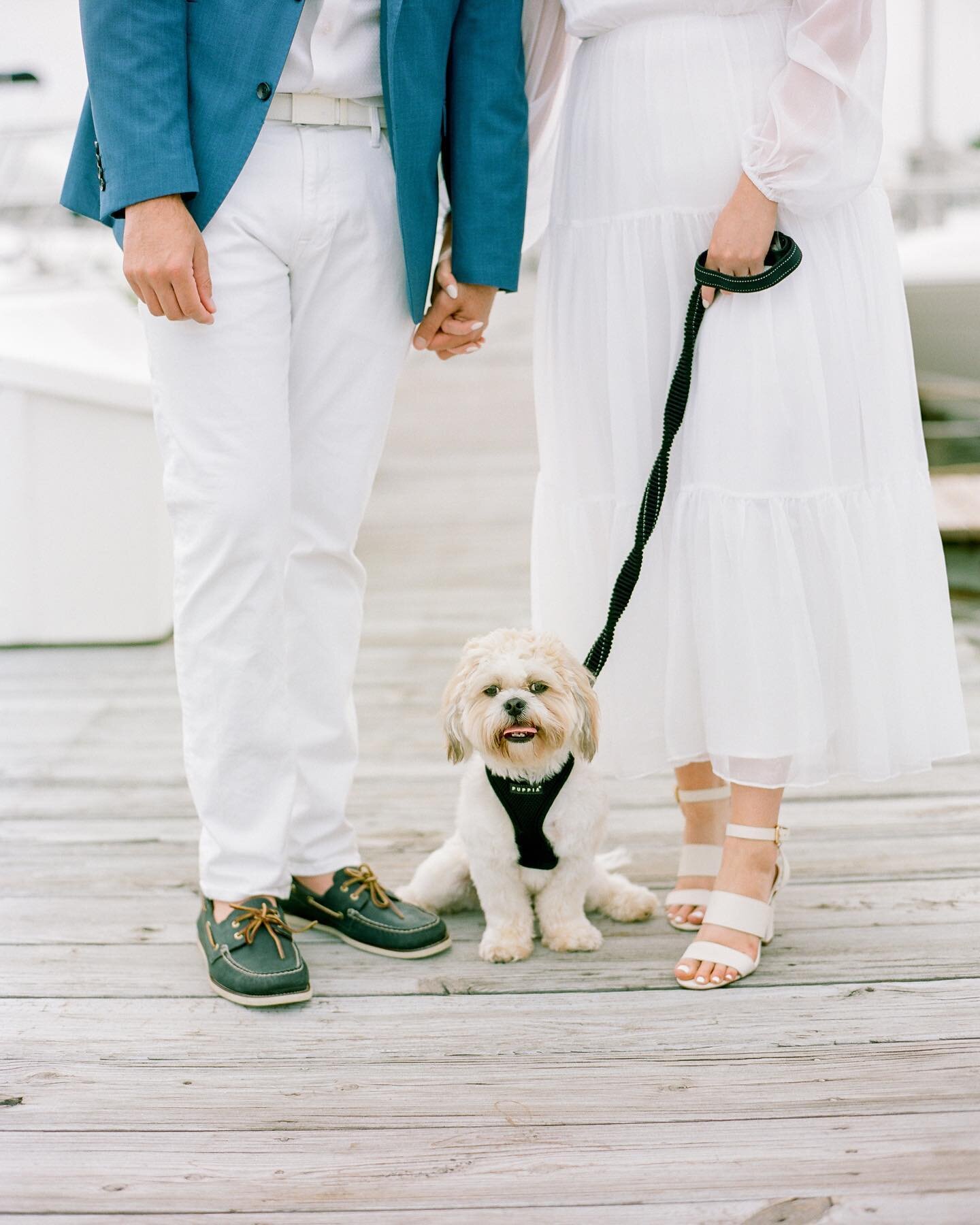 We are here to encourage you to involve your furry friends in all aspects of your wedding. 
⠀⠀⠀⠀⠀⠀⠀⠀⠀
Bring them to your engagement session. Get them comfortable with your photographer and listening to commands. If you want them to be a part of your 