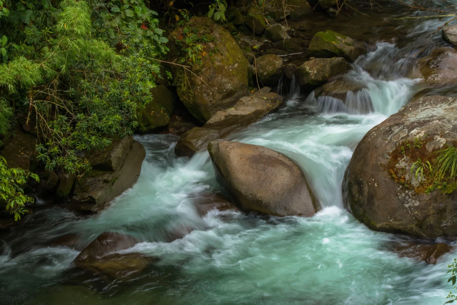 San Gerardo de Rivas sin firma.jpg