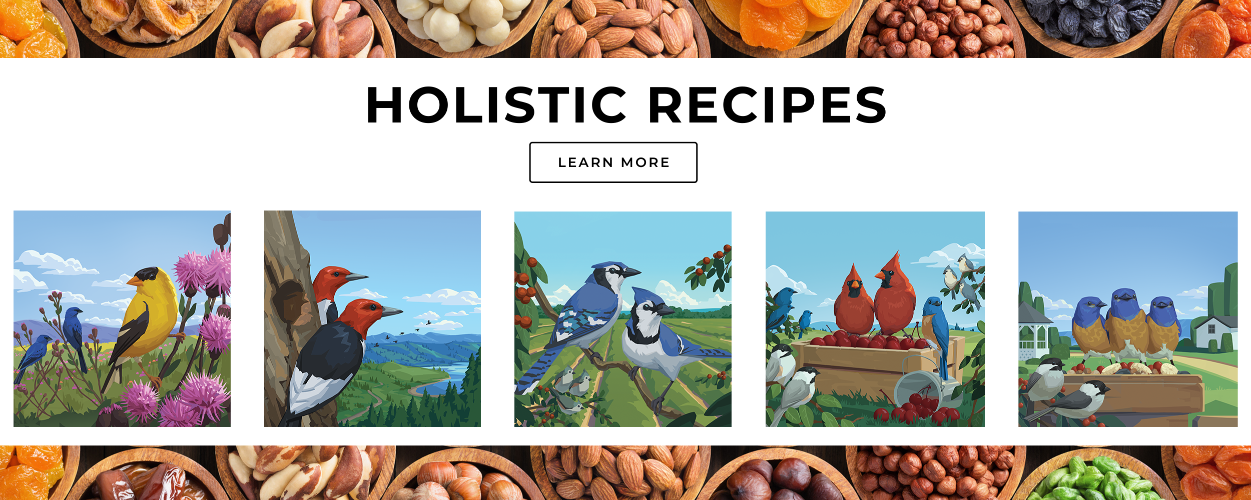 Bird Pro Holistic Recipes