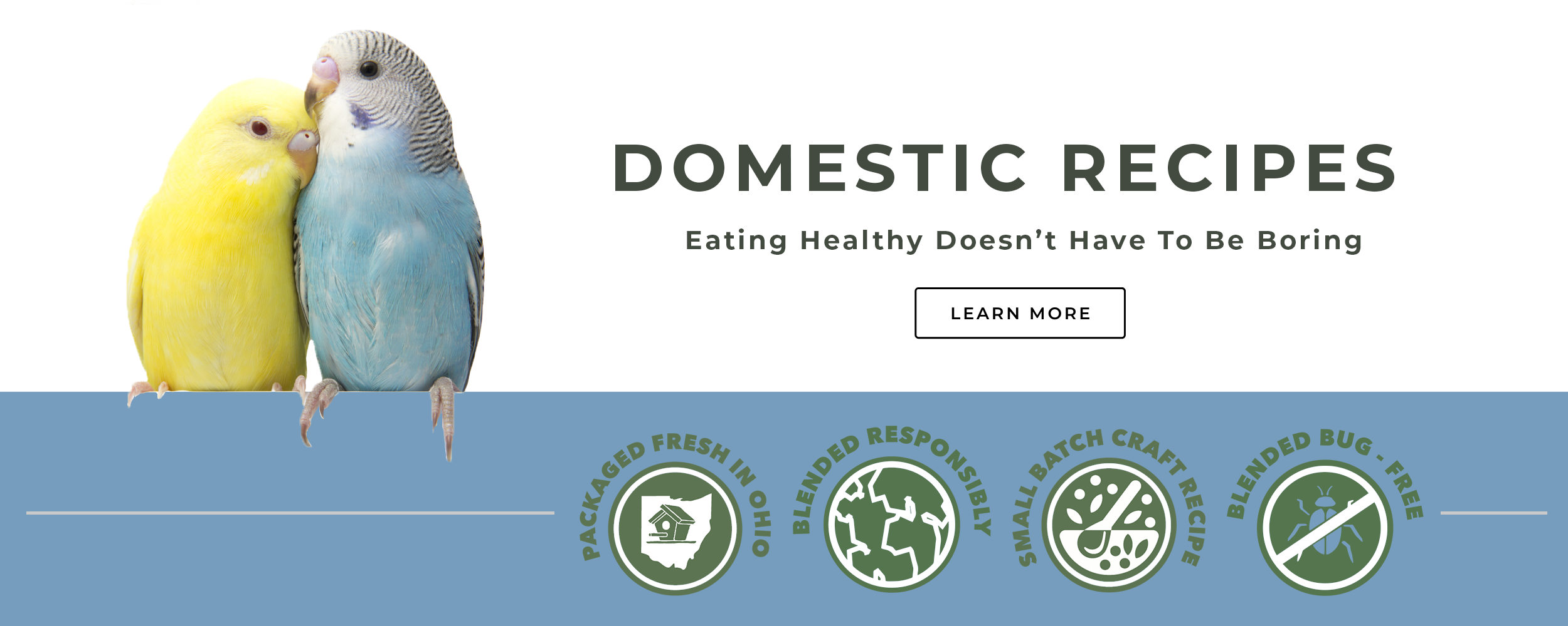 BirdPro-Banner_DomesticRecipes.png
