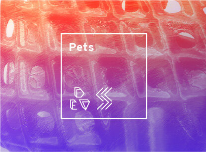 Pet_Project_Thumbnail.jpg