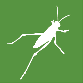 grasshopper_logo.png