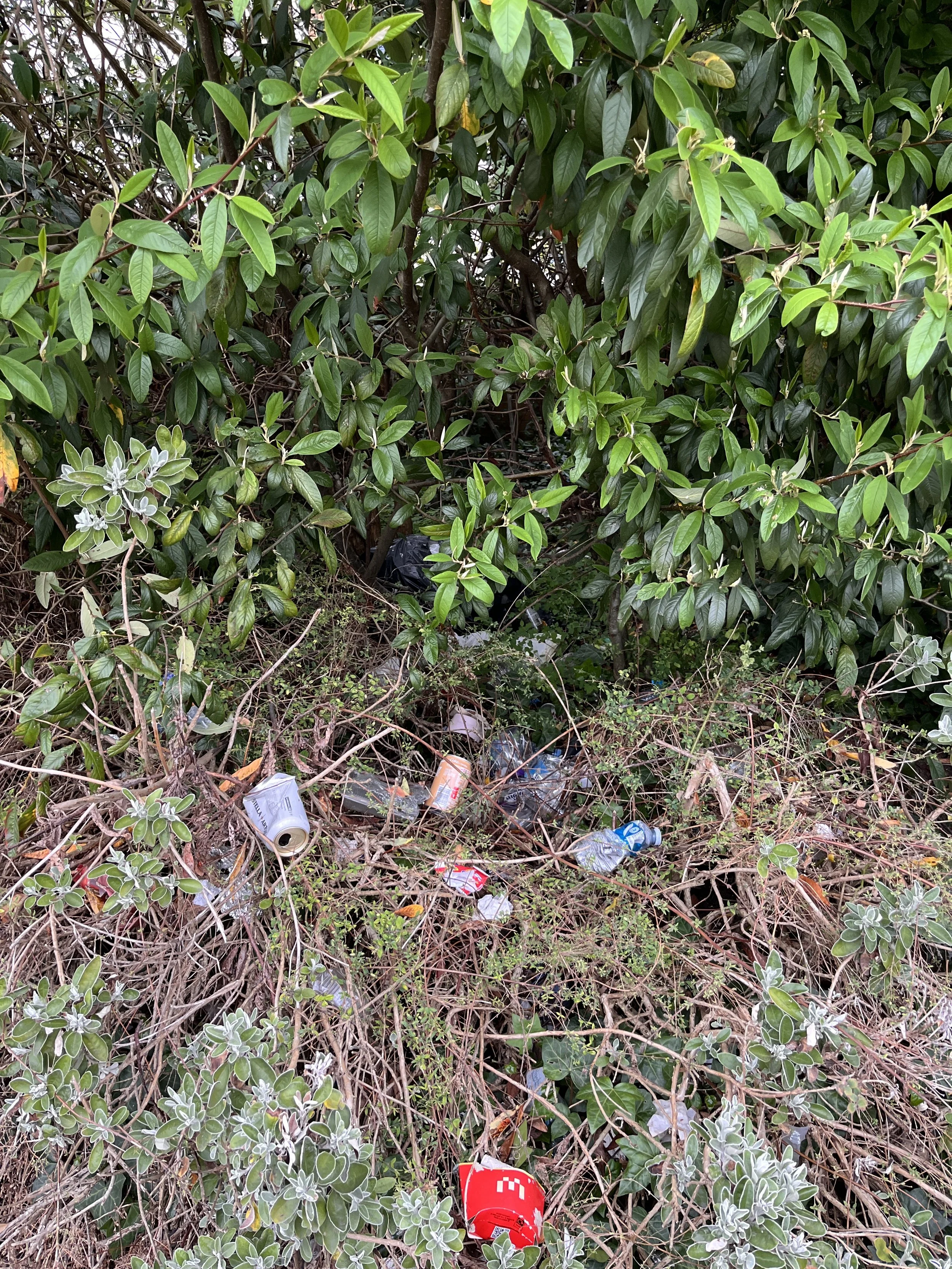 HELP US TIDY BRIDGE DRIVE - JOIN OUR LITTER PICK 