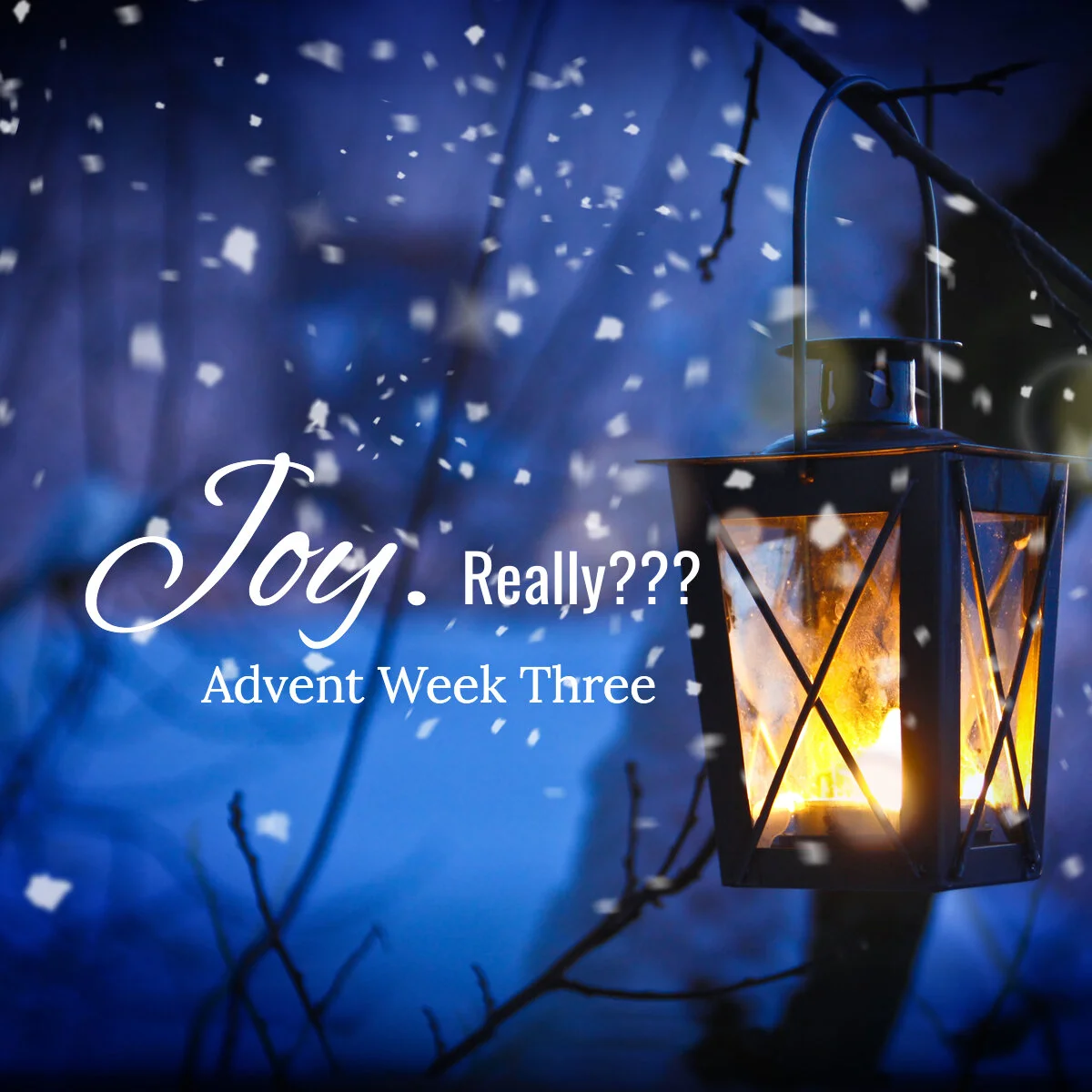 Joy... advent three