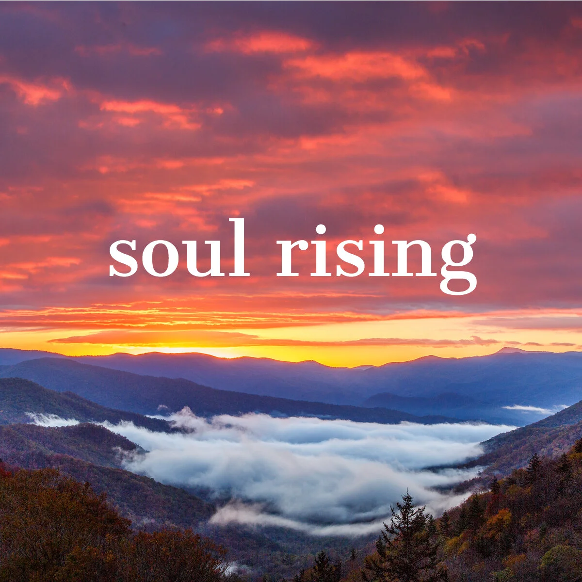 soul rising 