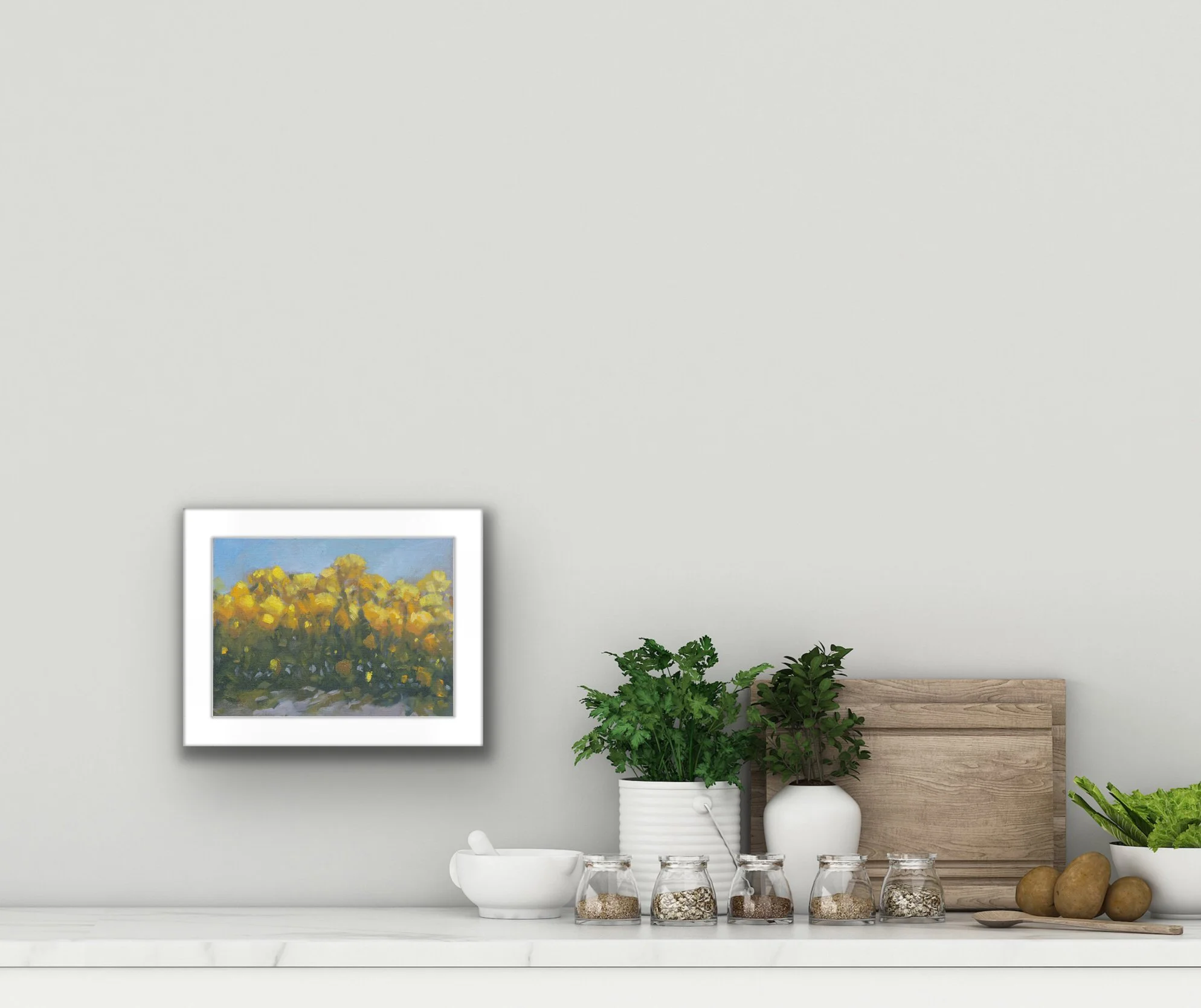 marigold field I.jpeg