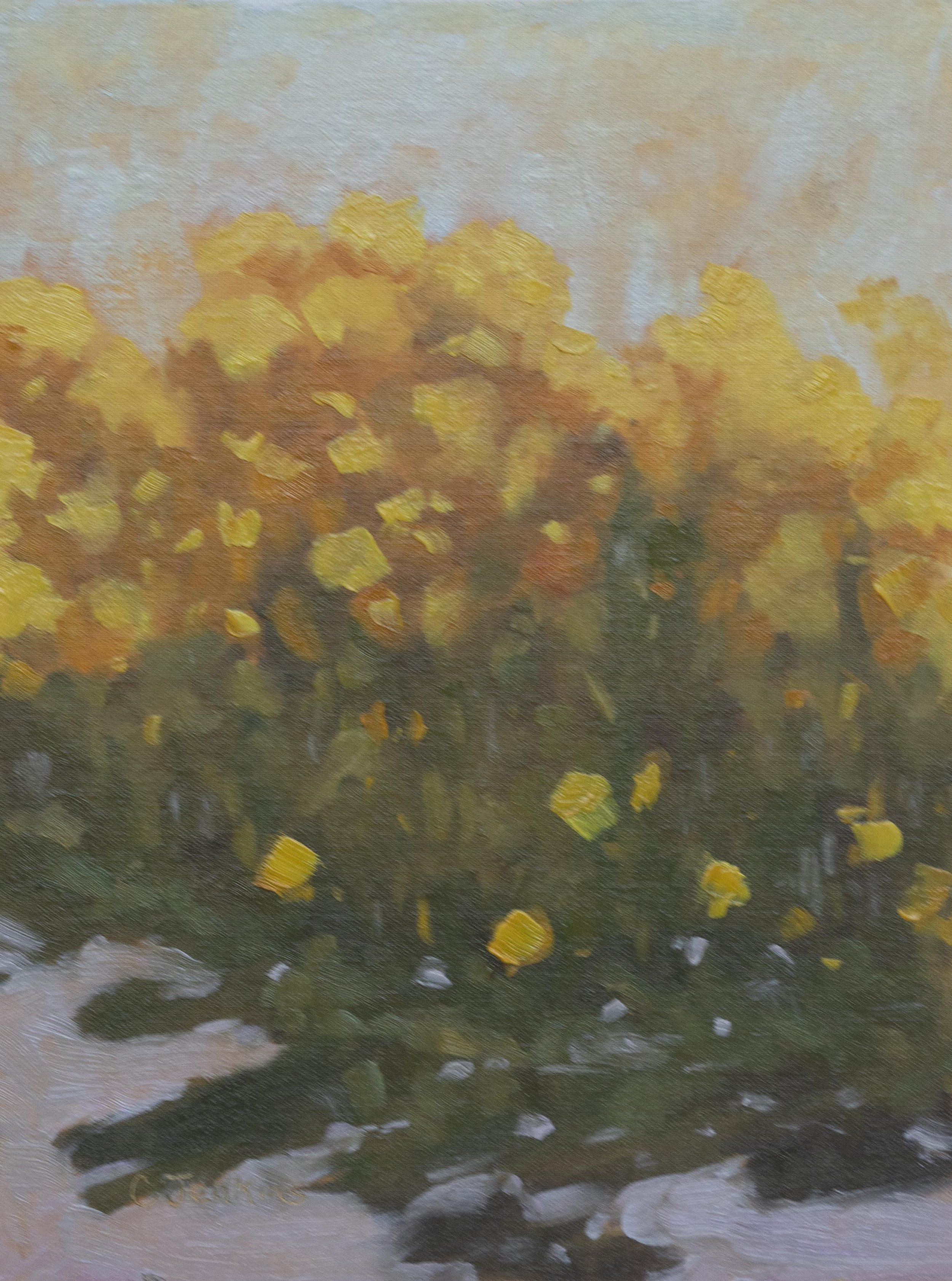 Marigold Field in Summer II.jpg