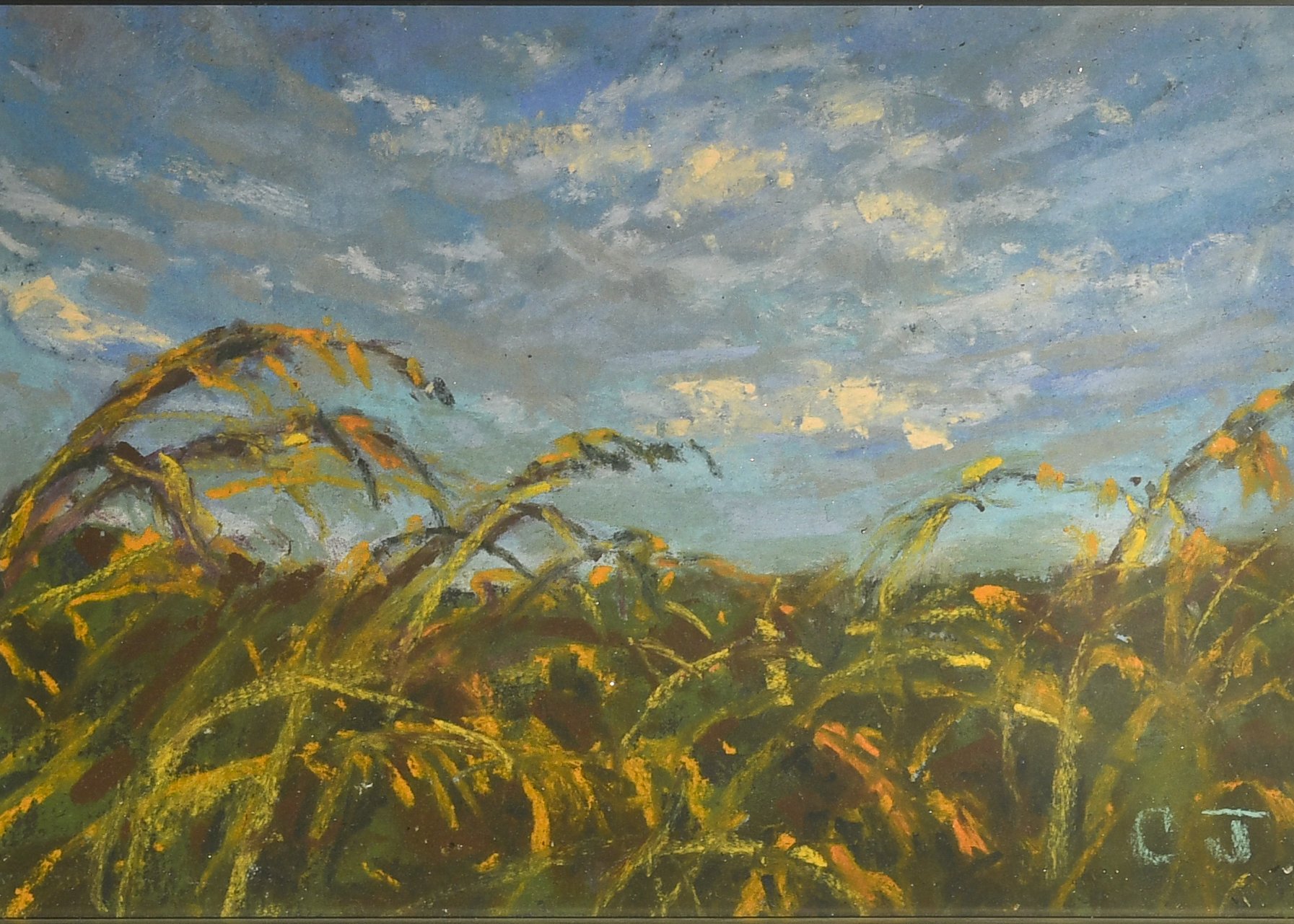 sea oats.jpg