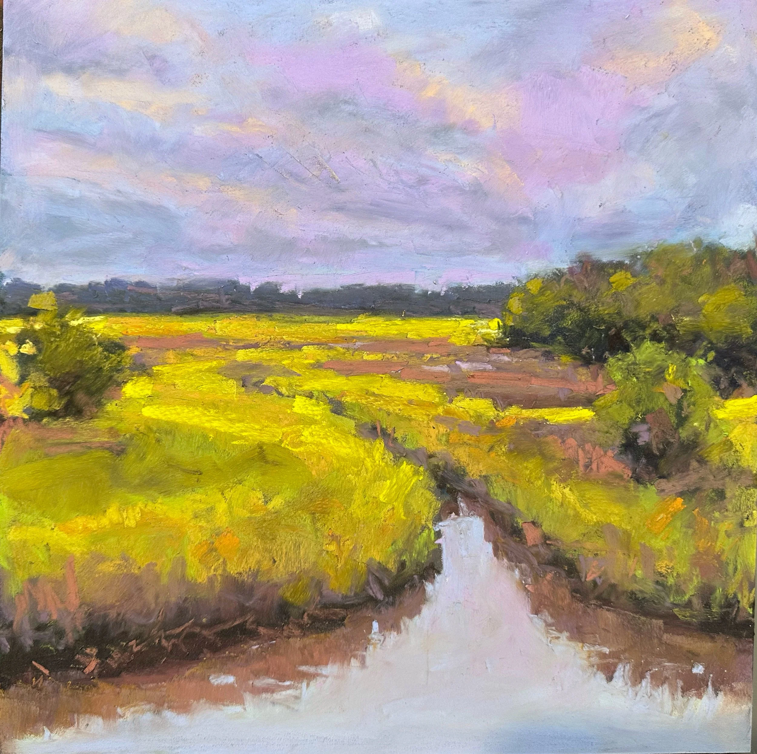 marsh on Little Talbot.jpeg