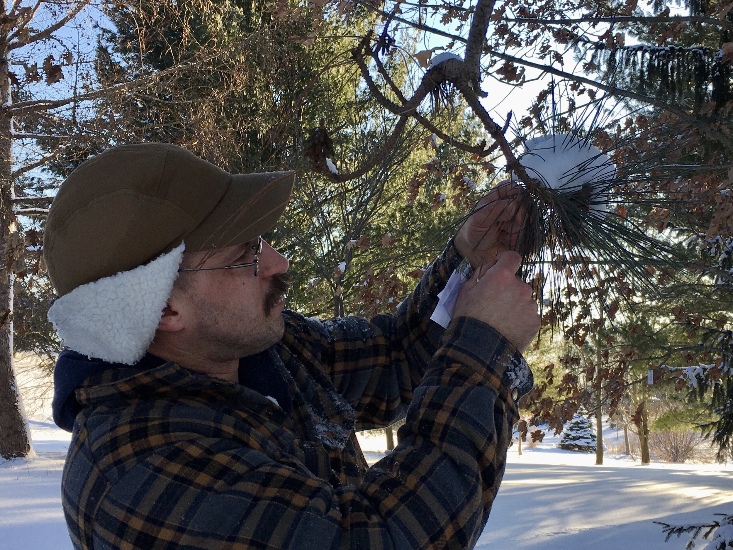 Integrated Pest Management (IPM) Course