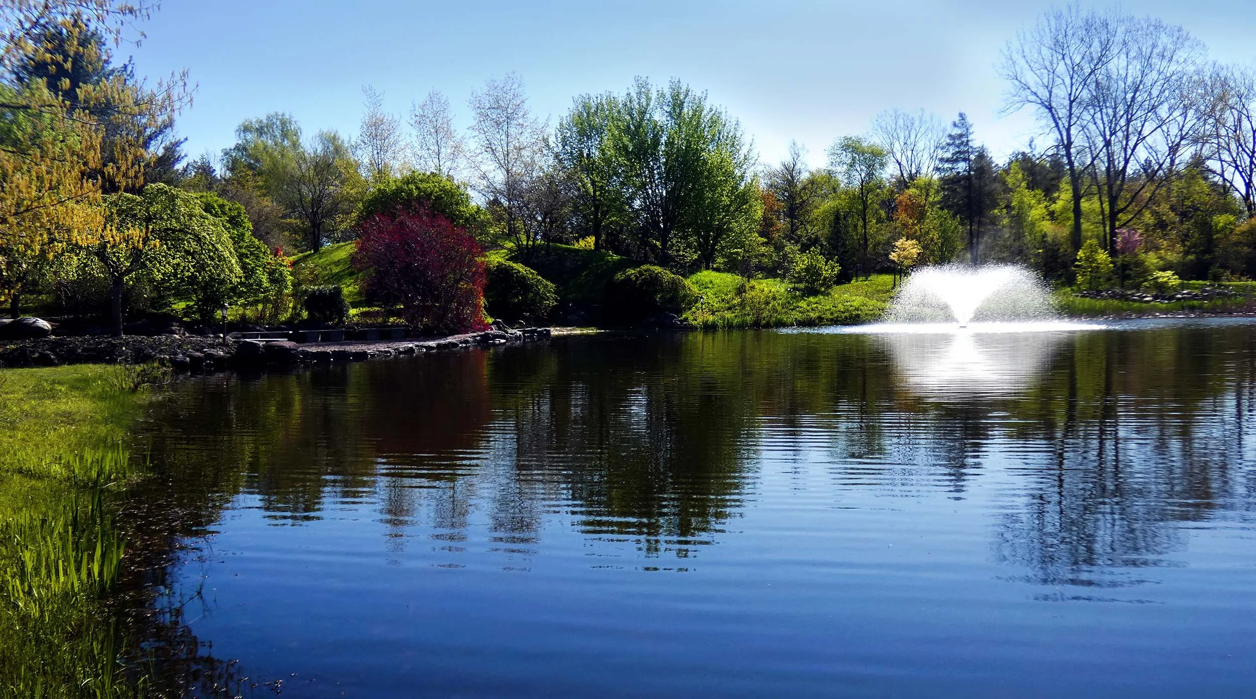 Draves_Pond_Spring_Banner.jpg