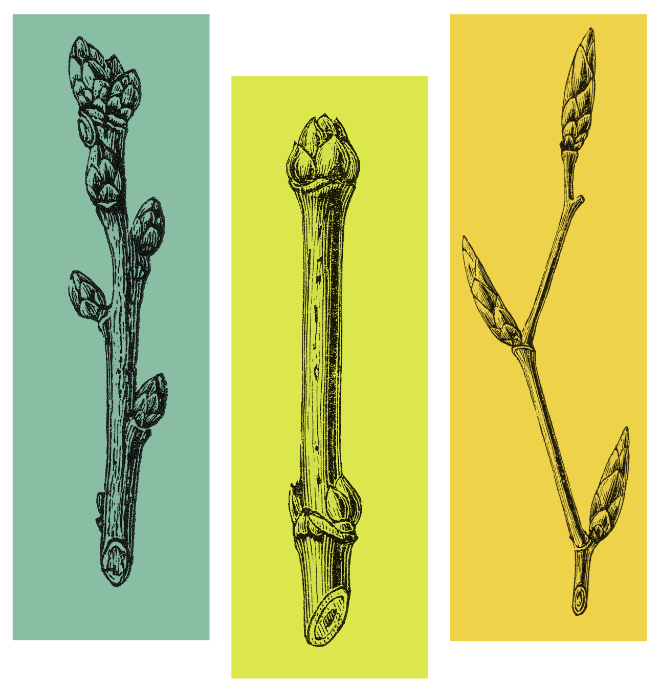 Screenshot 2026-03-22 at 5.18.46 PM.png