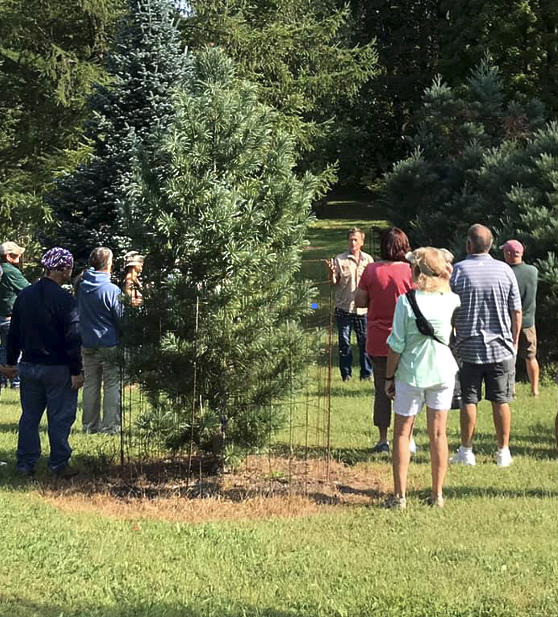 Screenshot 2026-03-22 at 4.21.46 PM.png