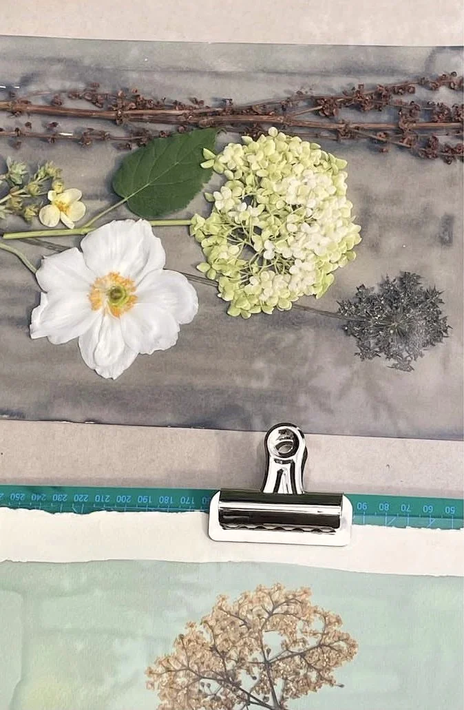 Cyanotype Printing workshop with Cressida Murray